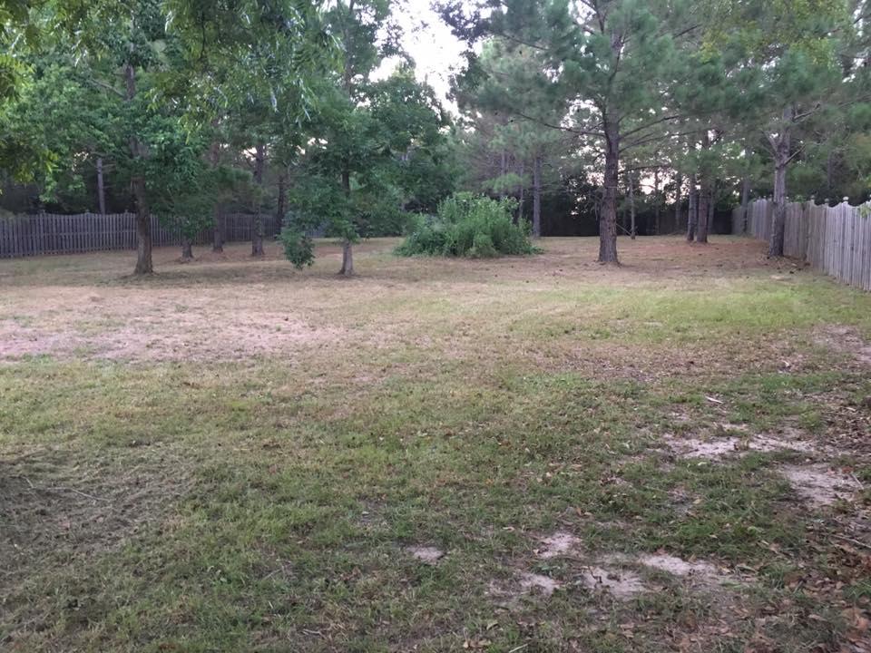 MILL CREEK ESTATES - Residential Lease