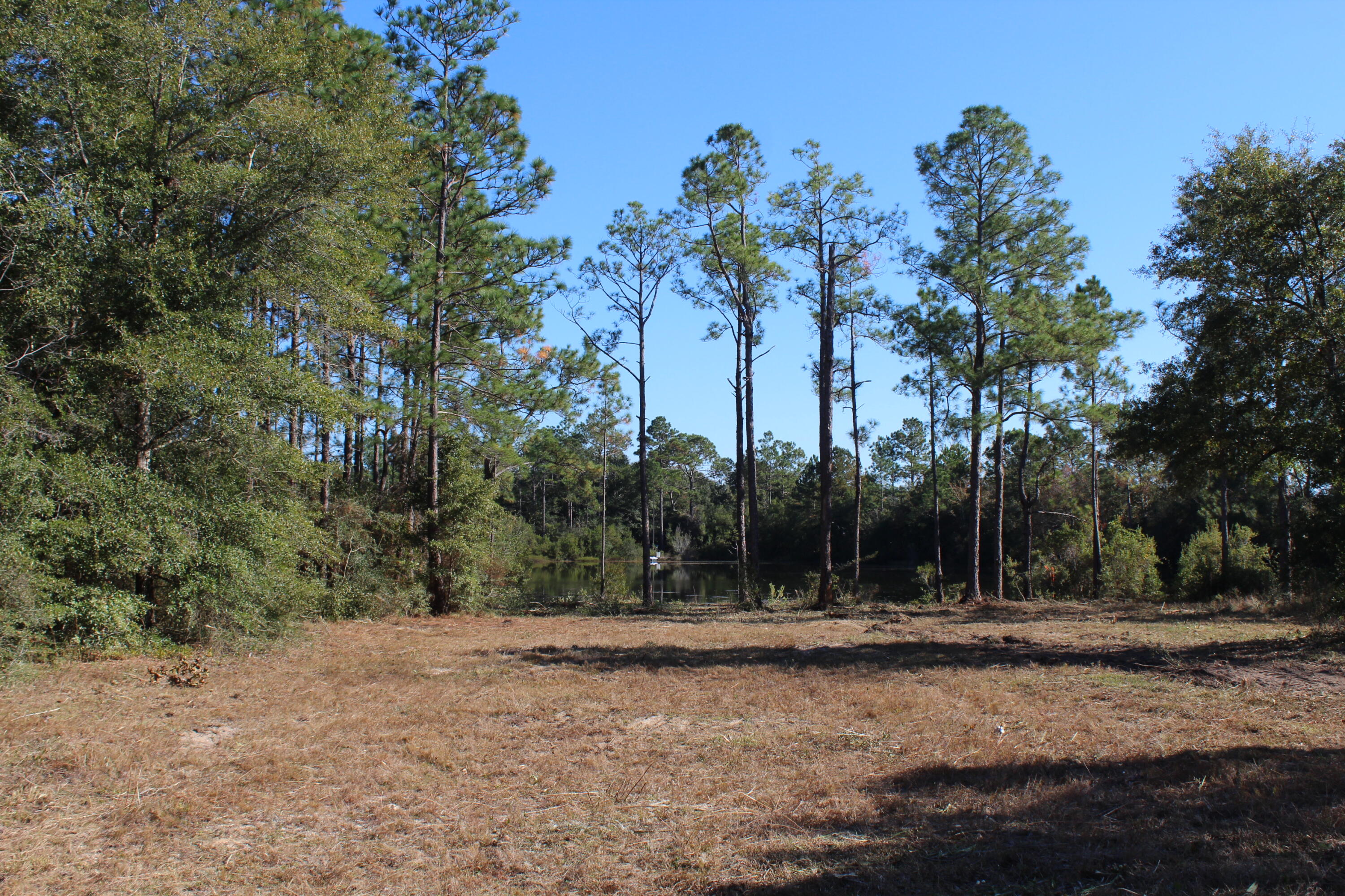oakwood Lakes Estates Unit 7 - Land