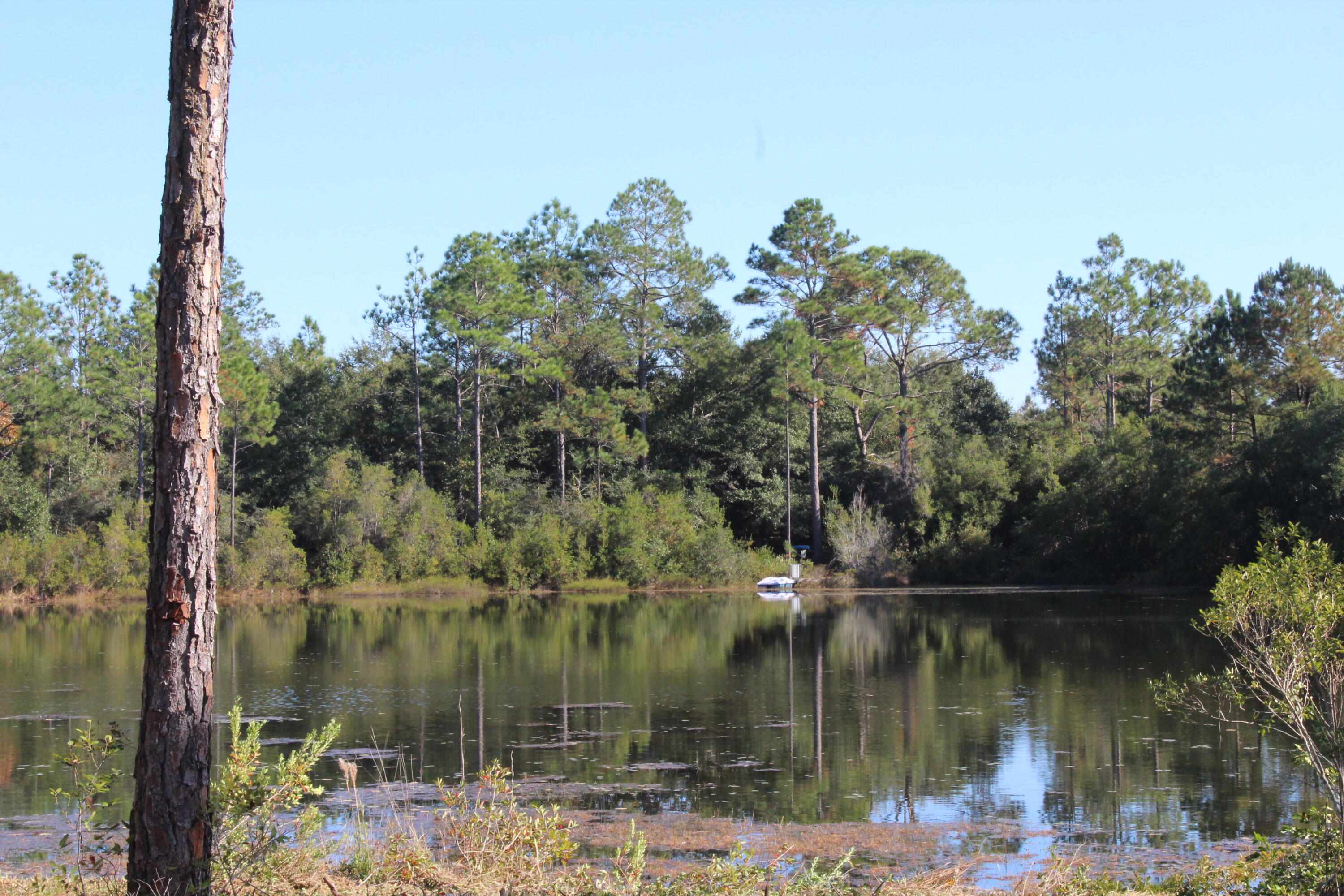 oakwood Lakes Estates Unit 7 - Land
