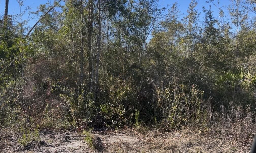 Beautifully wooded 1+ acre home site on N Patrick St in Port St Joe. This vacant parcel gives you a natural old Florida feel with mature trees and native vegetation and sits just a short drive from downtown Port St Joe, beaches, boat ramps and the Overstreet bridge.

Bring your builder and build the perfect coastal retreat with plenty of room for a spacious home, large porch, and all your outdoor toys. This lot offers generous road frontage and depth. There is ample space for privacy, a detached garage or a workshop.

Whether you are planning a full-time residence or a vacation getaway, this lot offers flexibility in a quiet area that still keeps you close to both Bay and Gulf County amenities.   Don't miss the opportunity to build your dream home on a large and private lot.