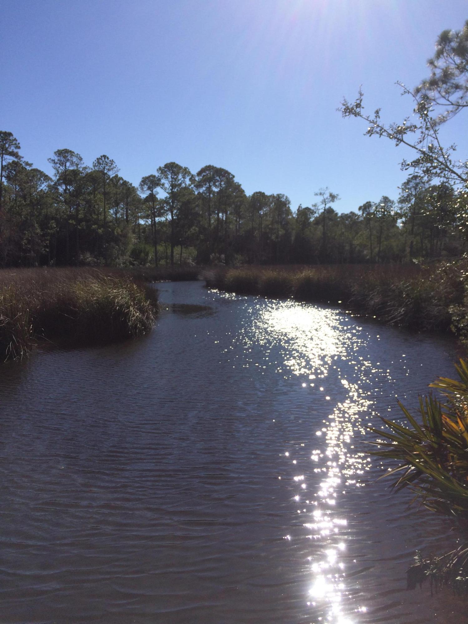 Great price on this large WATERFRONT lot, in highly desirable South Walton. Enjoy all the amenities of the 30A lifestyle, along with the luxury of waterfront living. Possible bay views from upper stories and boat access to the bay through the bayou at your back door! Endless possibilities with this large lot, no HOA fees or restrictions in this rapidly developing area. Road is in process of being paved, completion due June 2017!!!
Seller is a licensed Florida Real Estate Agent. Buyer is responsible for personally verifying details about this property. All information contained in the listing is believed to be accurate but not guaranteed.