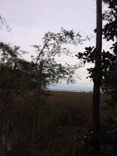 PISCES COVE - Land