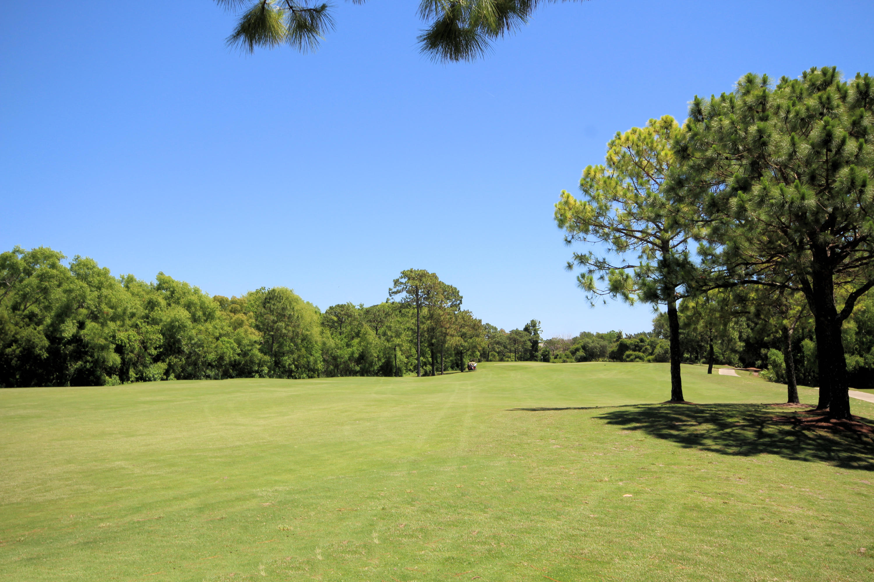 KELLY PLANTATION S/D, CARRIAGE PLACE S/D - Residential
