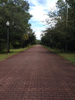 Beautiful lot in Grayton Bayou located in Point Washington! Just minutes to the white sandy beaches and Seaside! The 50 x 150 ft property is perfect for investors, builders, or a prime residence! Community ammenities include: swimming pool, bayfront park, boat launch, picnic and nature areas. ***Buyer is responsible for personally verifying details about this property. Any information contained in this listing is believed to be accurate but is not guaranteed.***