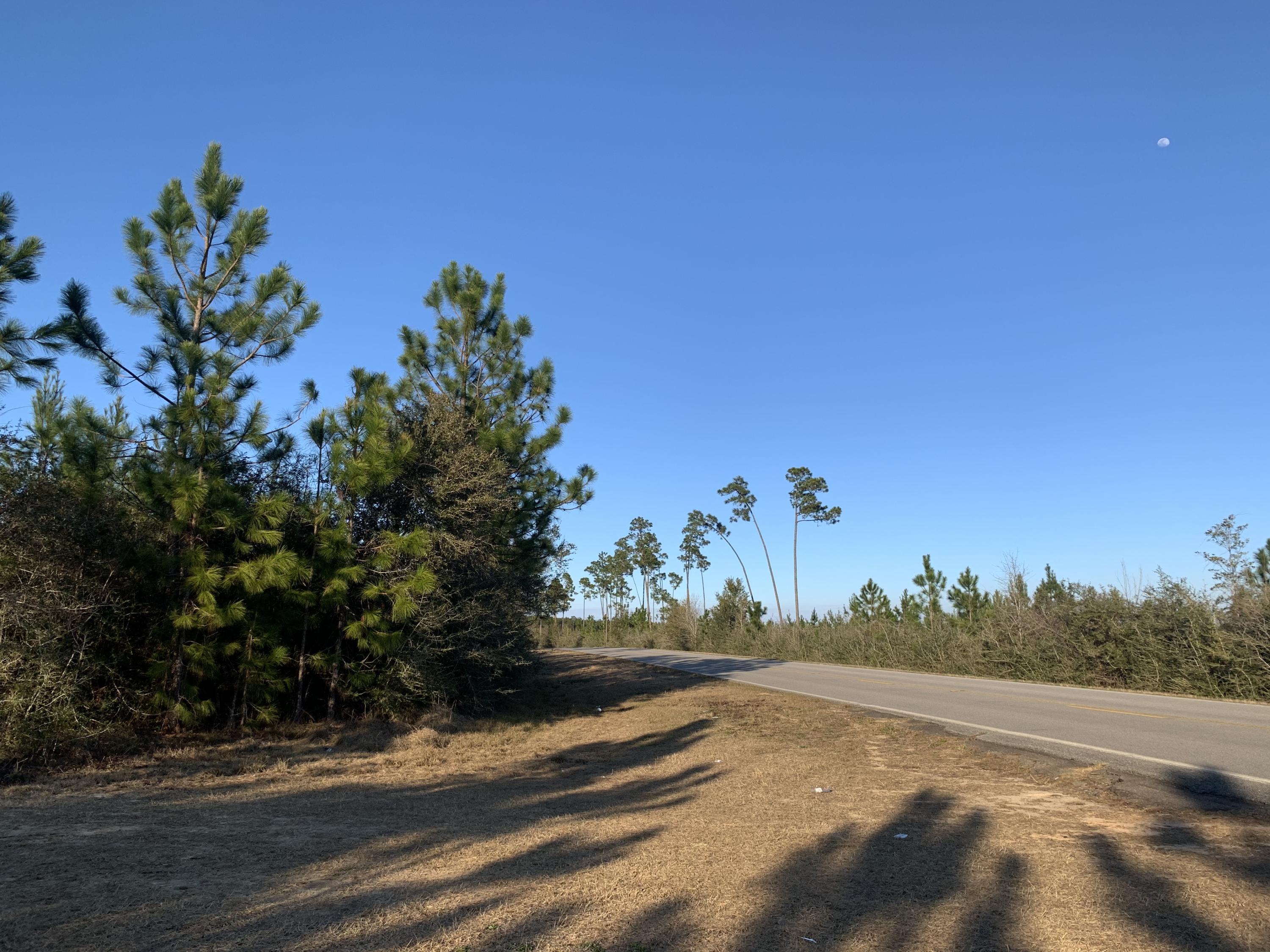 10 acres of nature for your hunting or your home! Beautiful timberland with highway access. 

Schools: Central for Elementary, Central High School for both Middle and High schoolers.
Access by appointment only.