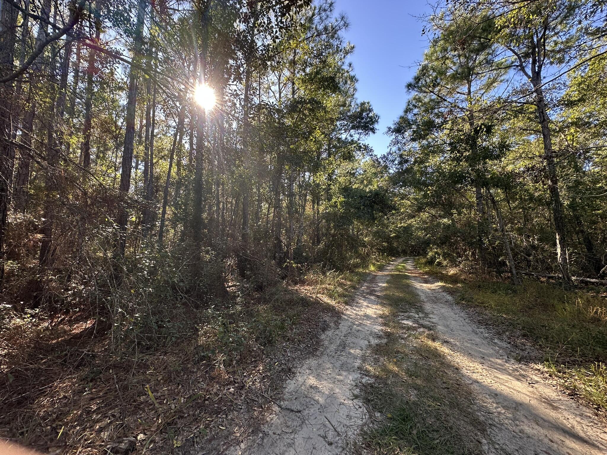 HARBOUR OAKS - Land