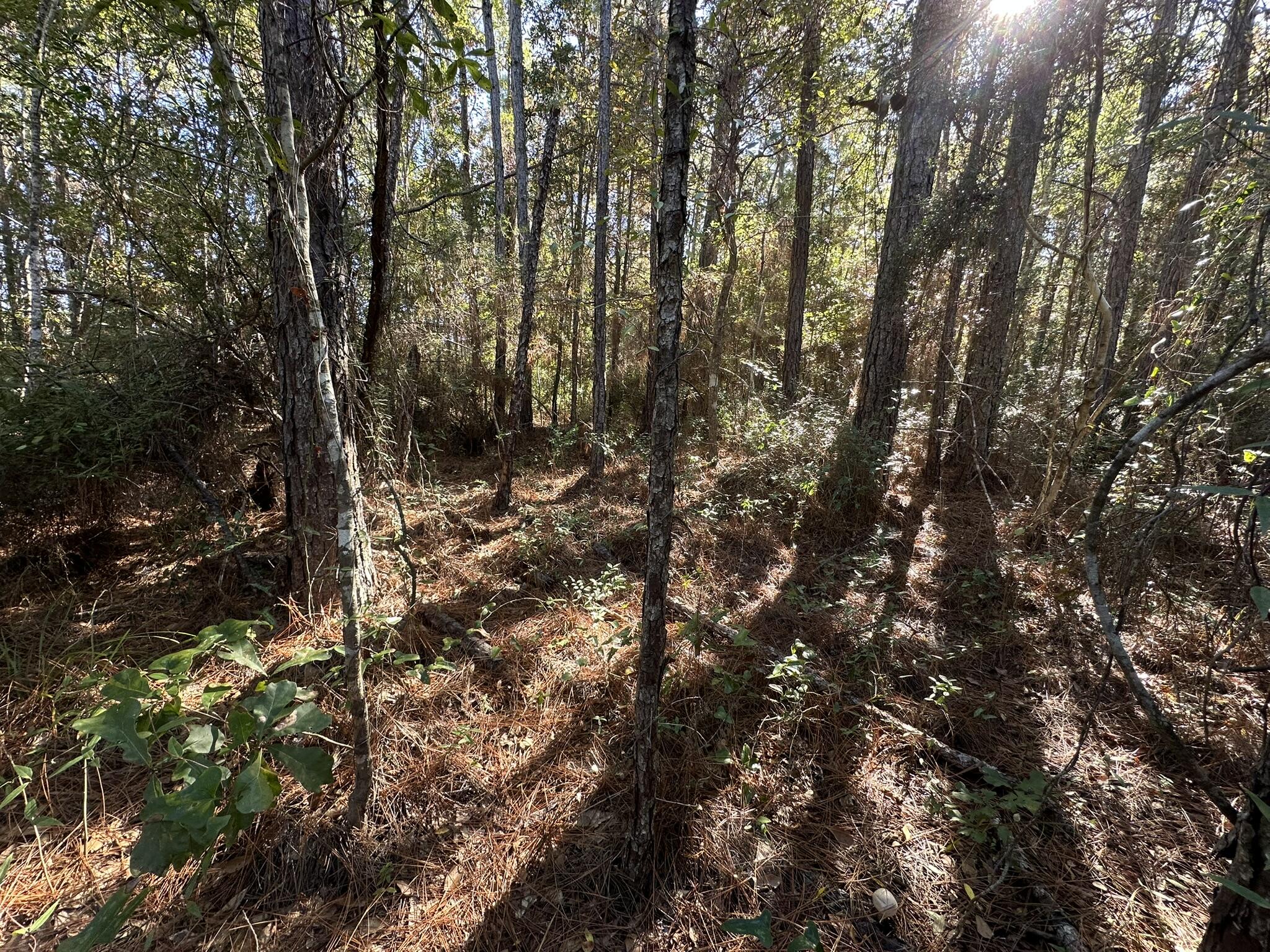 HARBOUR OAKS - Land