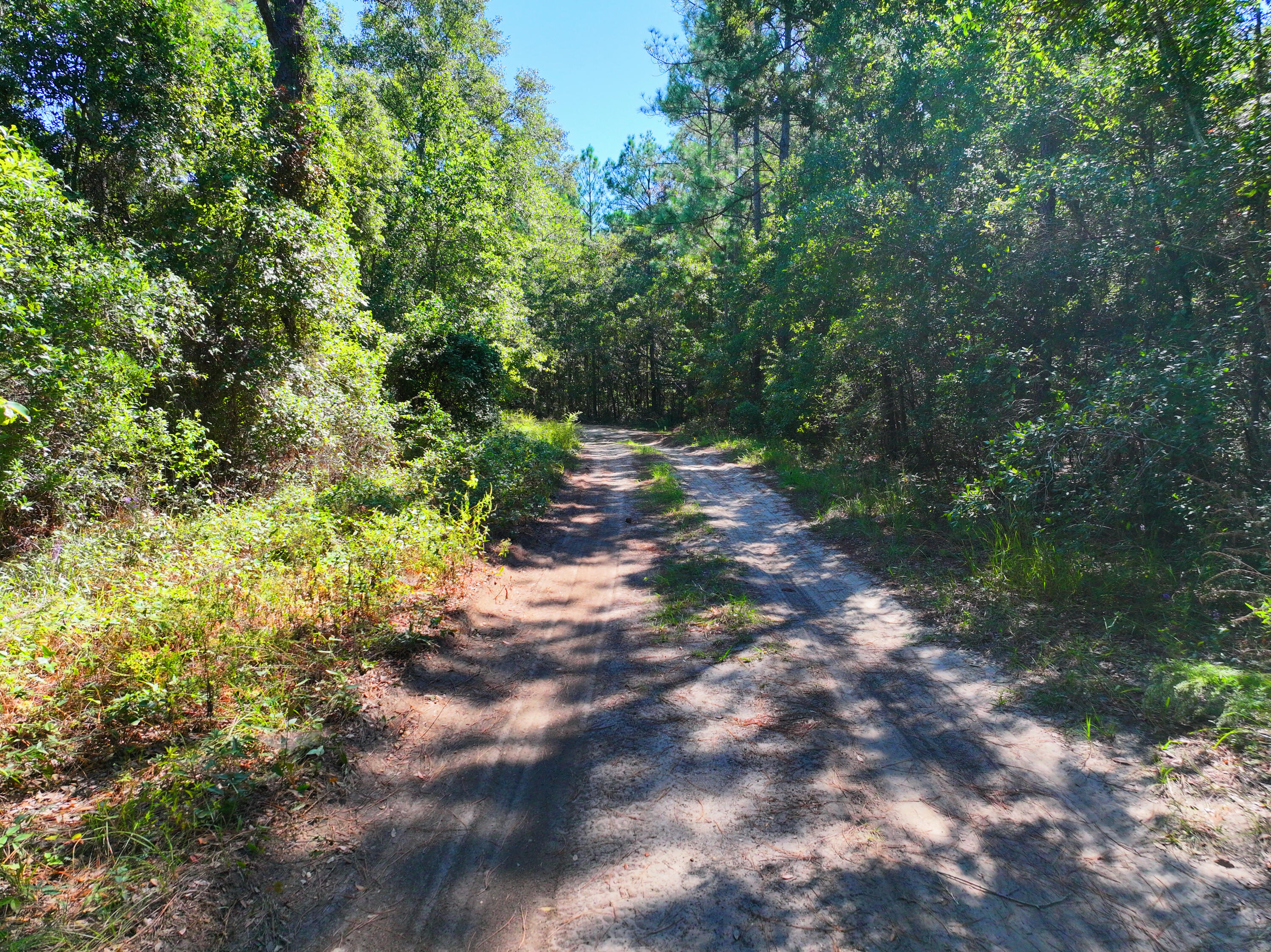 HARBOUR OAKS - Land