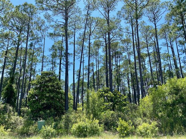 DRIFTWOOD ESTATES - Land