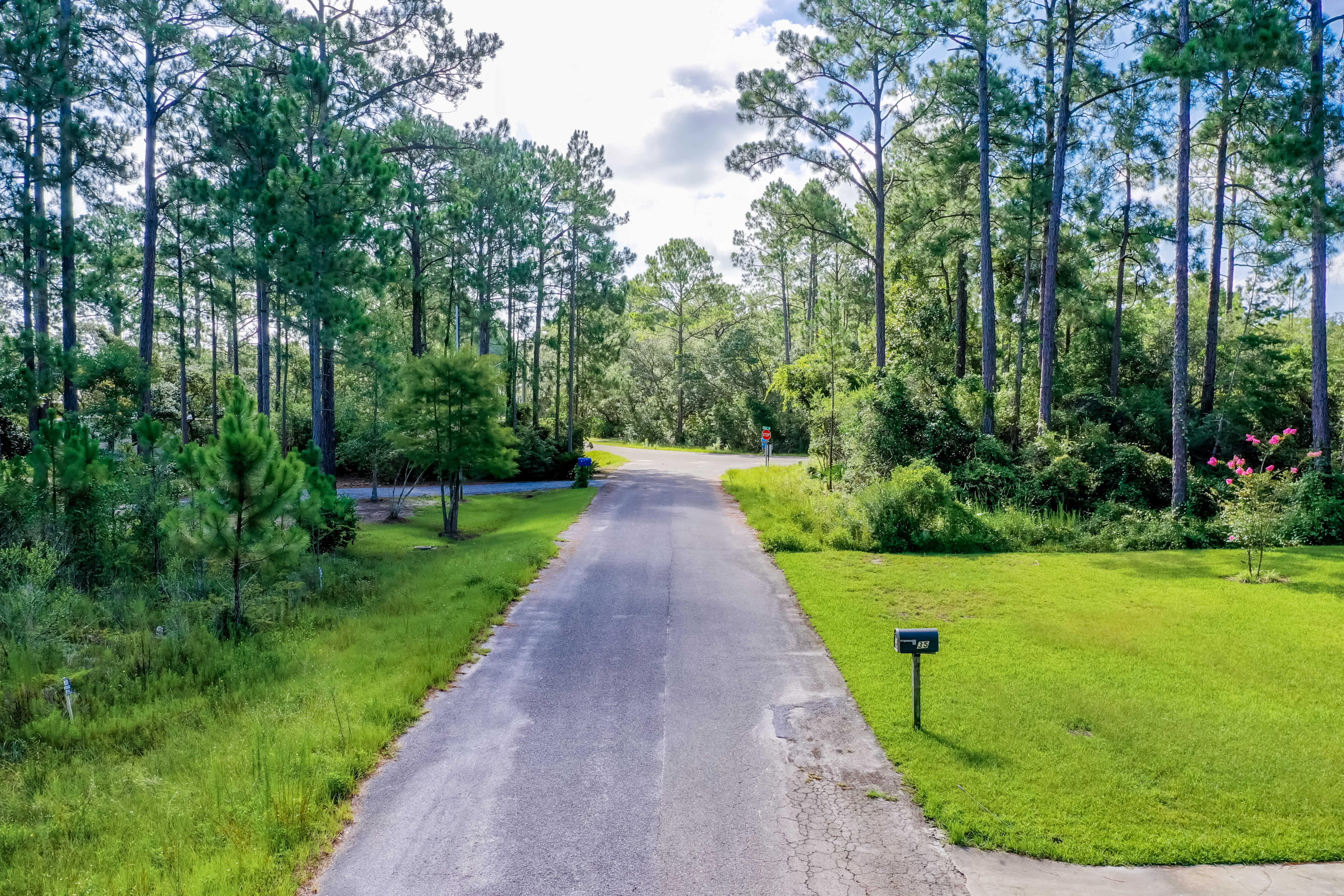 BAY PINE SHORES - Land