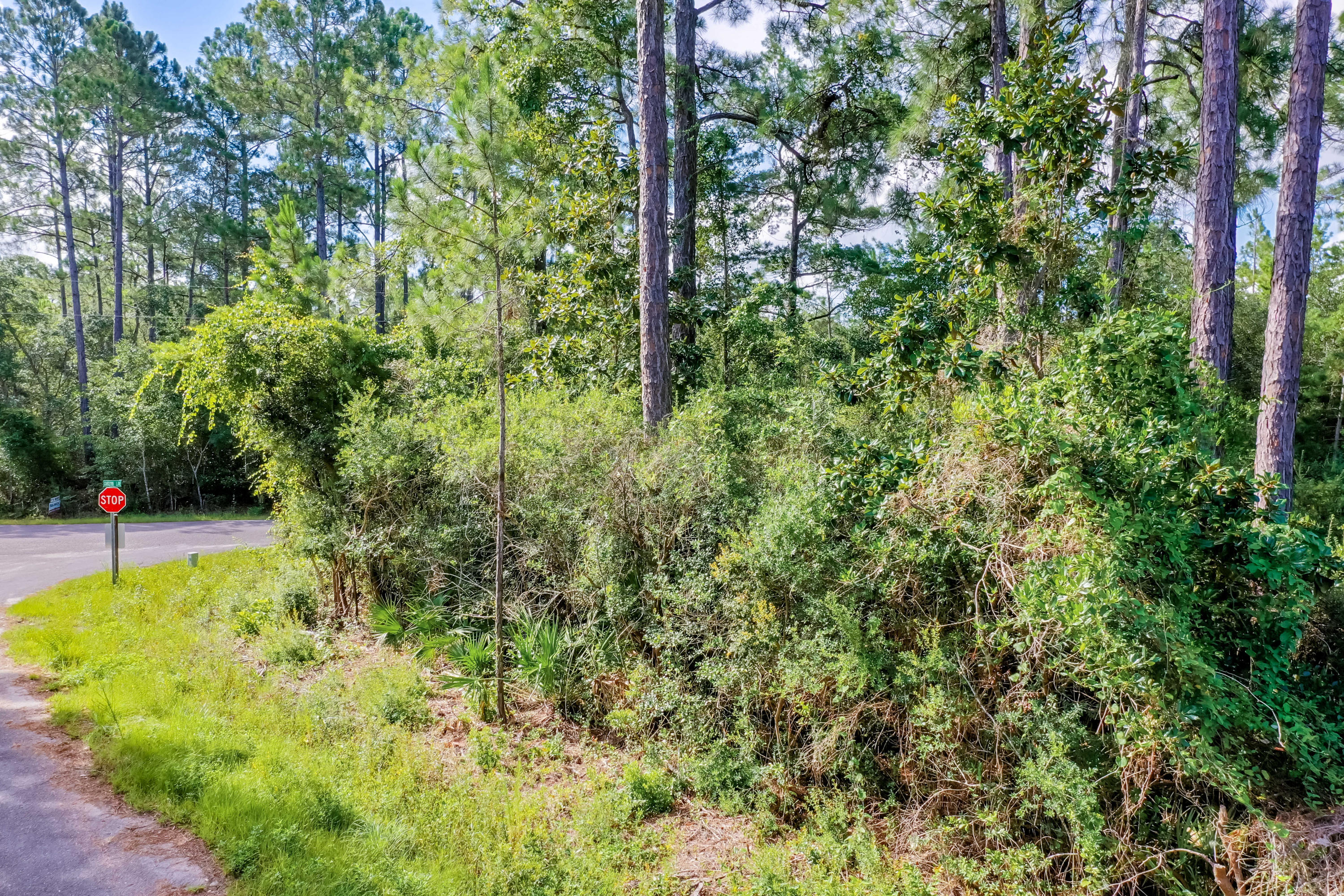 BAY PINE SHORES - Land