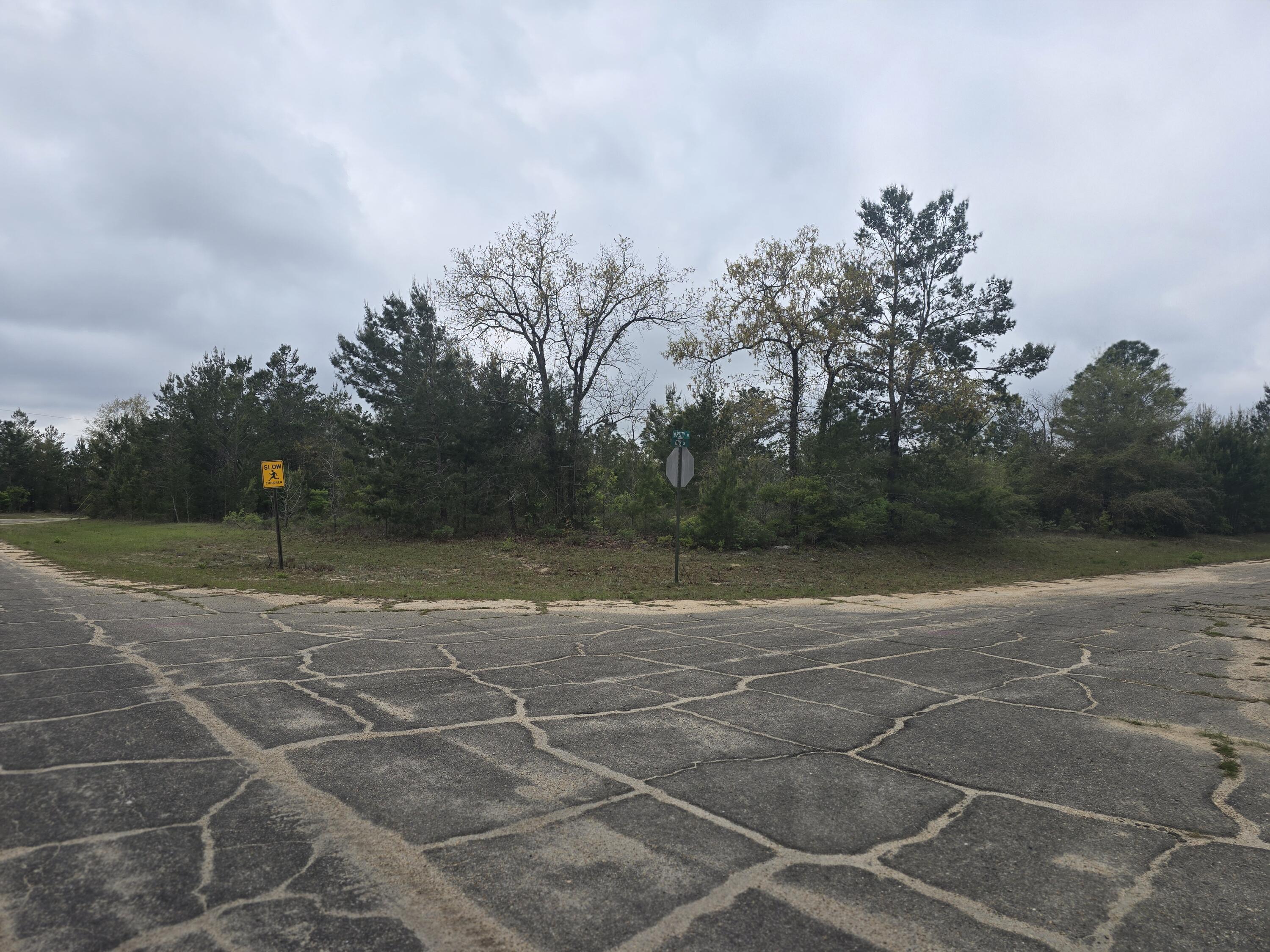 Perfect Home Site - Corner Lot in the Sunny Hills Community, an established subdivision with over 20K lots currently being developed with several national builders. Subdivision offers an 18-hole golf course with clubhouse, numerous lakes with white sandy beaches for recreational activities such as swimming, boating, fishing, and best of all, NO HOA! Sunny Hills is located in Washington County between Panama City Beach and Chipley within the Vernon school district.  Adjacent lot available for purchase too, individually or in a package.
