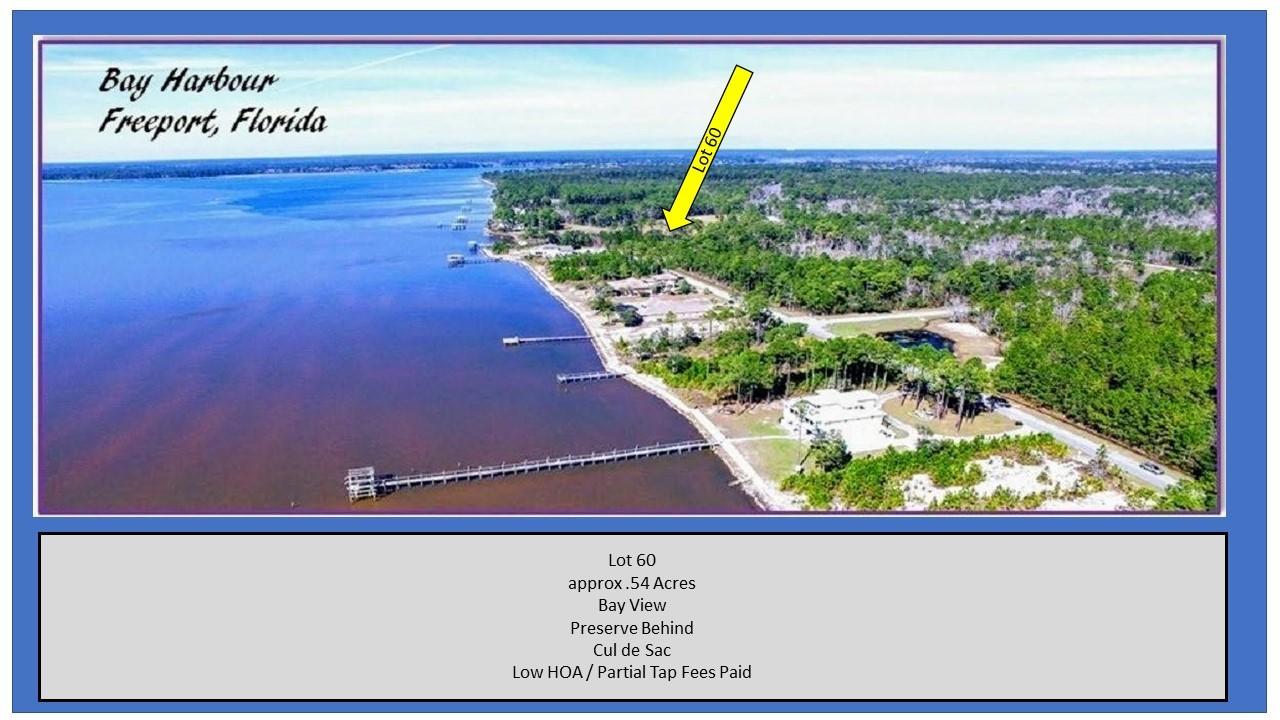 Amazing views of Choctawhatchee Bay!  This lot 60 Bay Harbour is approx .54 acres and located near the cul de sac and community dock & pier.  New homes are currently underway!  No build out time! Low HOA! Low Taxes.  Come to see what everyone is talking about - Freeport, Florida is one of the fastest growing areas in Walton County!