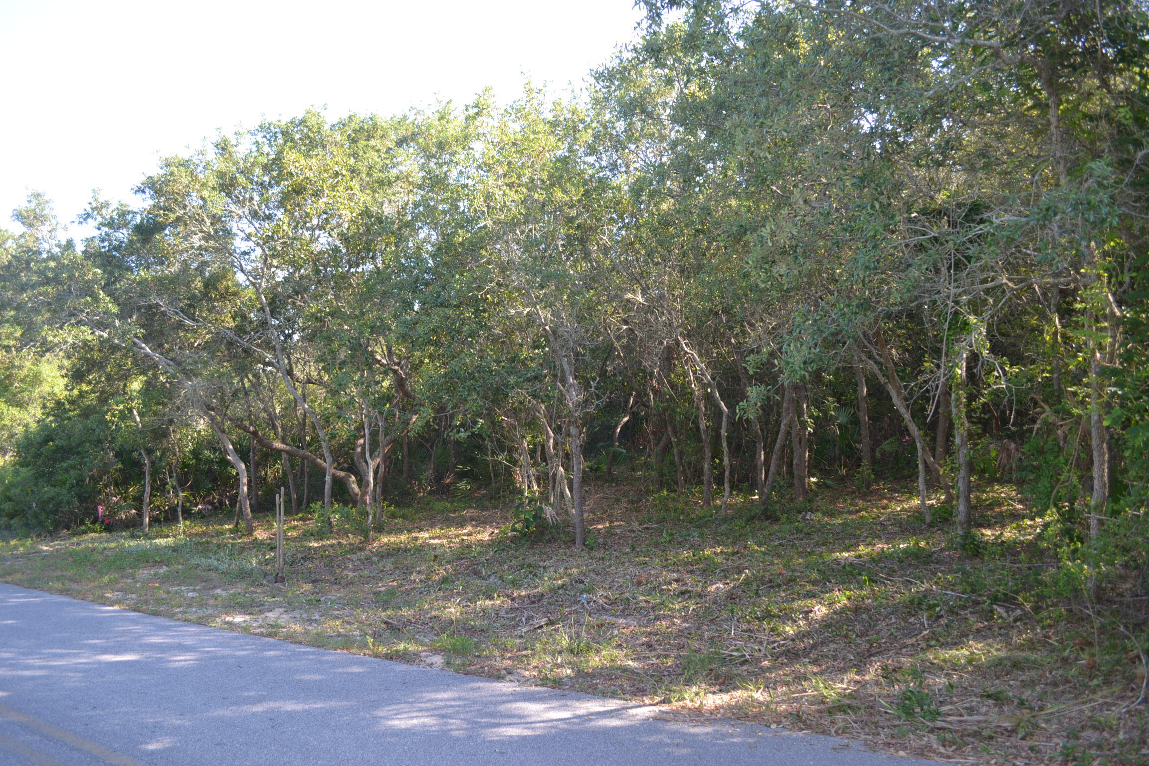 BEACH HIGHLAND 1ST ADD - Land