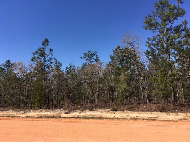 OAKWOOD HILLS UNIT 1 - Land