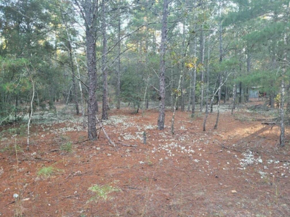 Wood lot in DeFuniak Springs FL and Mossyhead. No HOA. Minimal Restrictions. Modular homes allowed. 

There are no existing utilities. Well/Power/Septic required. Property is Flood Zone X. Per the Walton GIS mapping, the property does not appear to have wetlands. 

Easy access to the I-10 & CR 285 south making it a great location for work no matter what direction you need to go! You will be approx. 30-45 mins to most workplaces as as well as the beautiful white sandy beaches of Florida famous Emerald Gulf Coast and Crab Island. 

Buyer needs to verify building codes, zoning regulations, wetlands and flood zones, etc with proper local authorities to ensure buyer will be able to utilize the property for intended use. Information contained within this listing is deemed to be accurate but is not guaranteed.