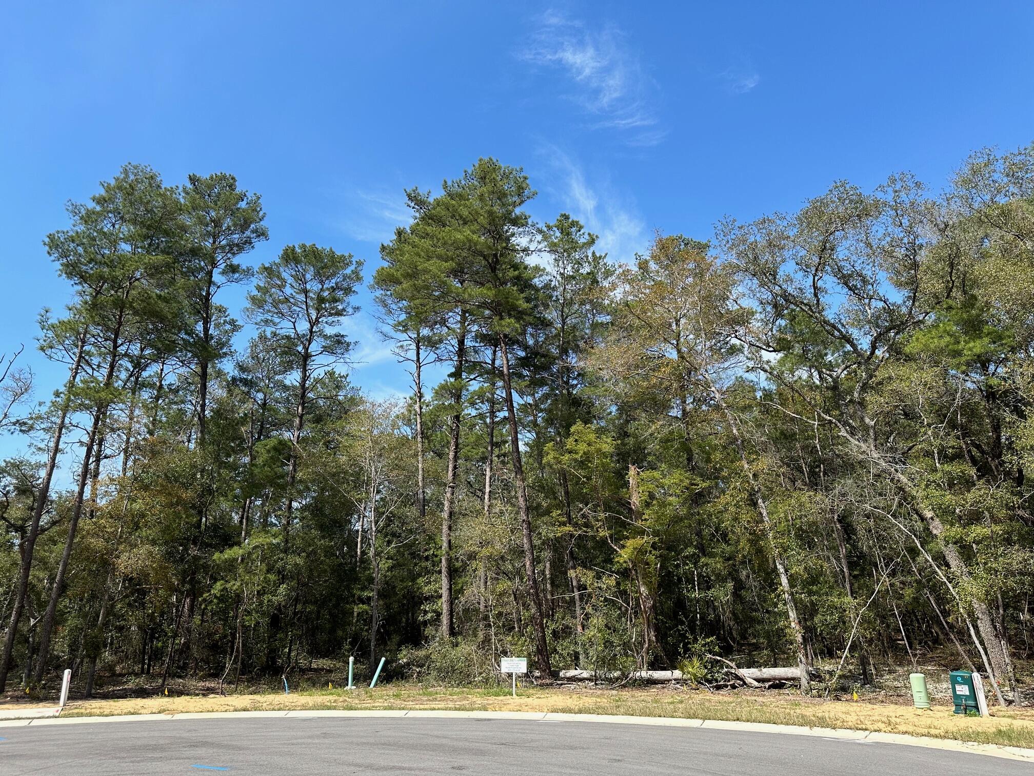 Cul-de-sac lot in desirable Deer Moss Creek®! This is one of only 12 large, flat lots developed in DMC Phase 7A. The cul-de-sac lots vary in size between 0.49 to 0.78 acres. If you're looking for an estate-sized lot in Niceville for your custom home, this is it. Deer Moss Creek® is an 1,100-acre, master-planned, mixed-use community in Niceville, FL. The west side of this lot borders a 30' natural wooded buffer. Community plans include a nature trail, bike lanes, parks, pools, office and retail space.
Sidewalks are 5' wide and home plans must be approved by the Town Architect. Don't miss this opportunity to purchase almost  a .5 acre lot in DMC and be able to select from our 13 fabulous builders to build your dream home! Plenty room for a pool as well. Call me for more info 850.218.4618.