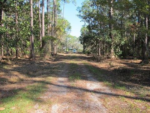 Ideal parcels for apartment or active adult community close to bridge and Hwy 331, the major north-south artery to South Walton County and the Gulf of Mexico. Just 30 minutes from Panama City International Airport. This 10-acre site is centrally located and among the last large, buildable, accessible development properties in South Walton County. It has 328 front feet on J. D. Miller Road, is paved and has sidewalks. Walk to the high school, the public library, government buildings, the health department, the Boys and Girls Club, and a ''Bark Park.'' The southern border of the parcel adjoins Pt. Washington State Park. A short ride down Hwy 98 takes you to Publix, Wal-Mart, the hospital, several shopping centers, many restaurants and a theater. (775968 - Commercial / 775967 - Vacant Land)