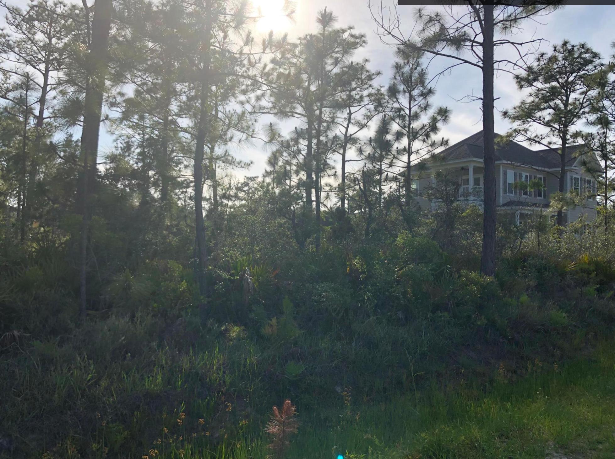 DRIFTWOOD ESTATES - Land