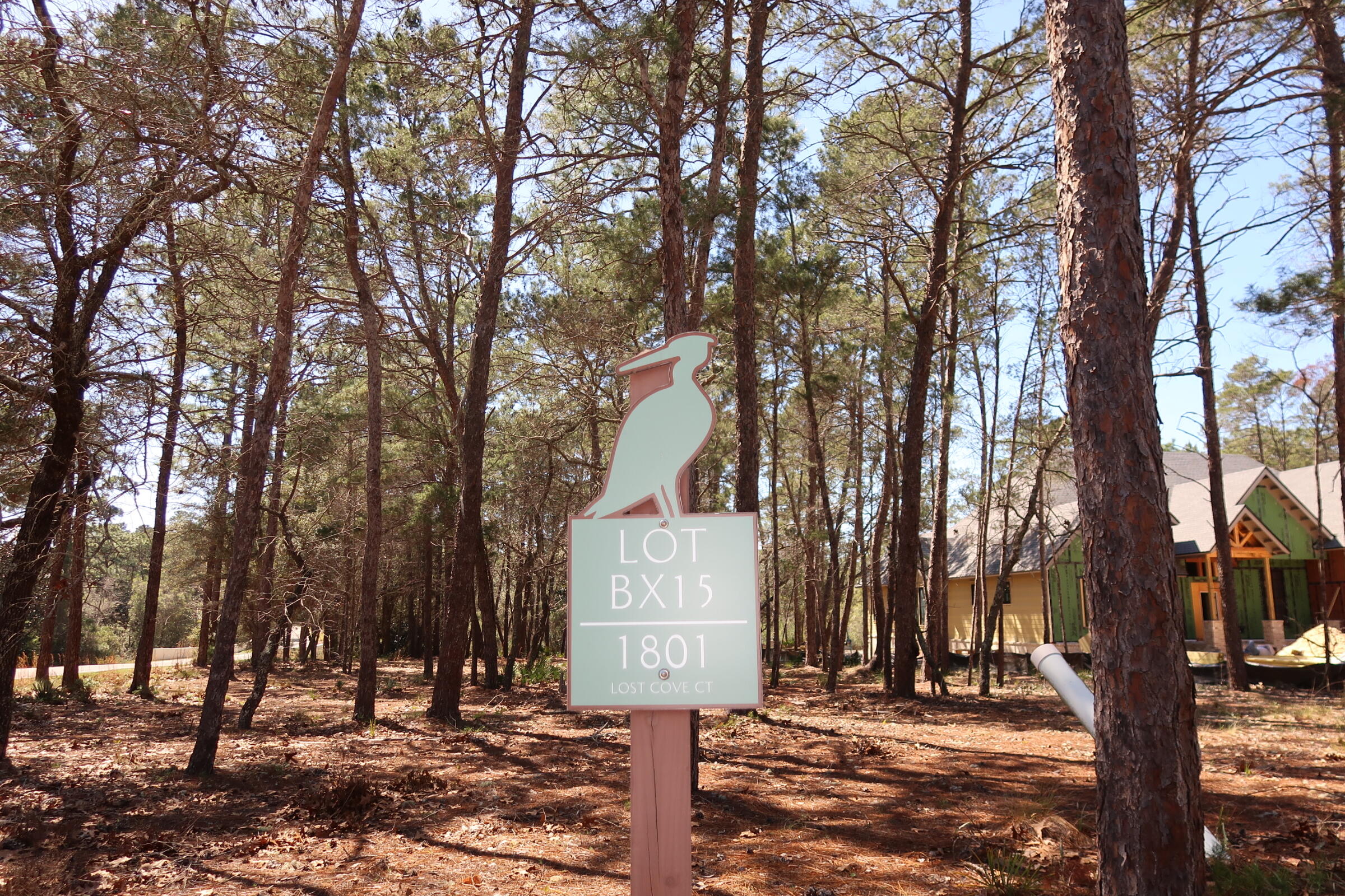 WILD HERON - Land