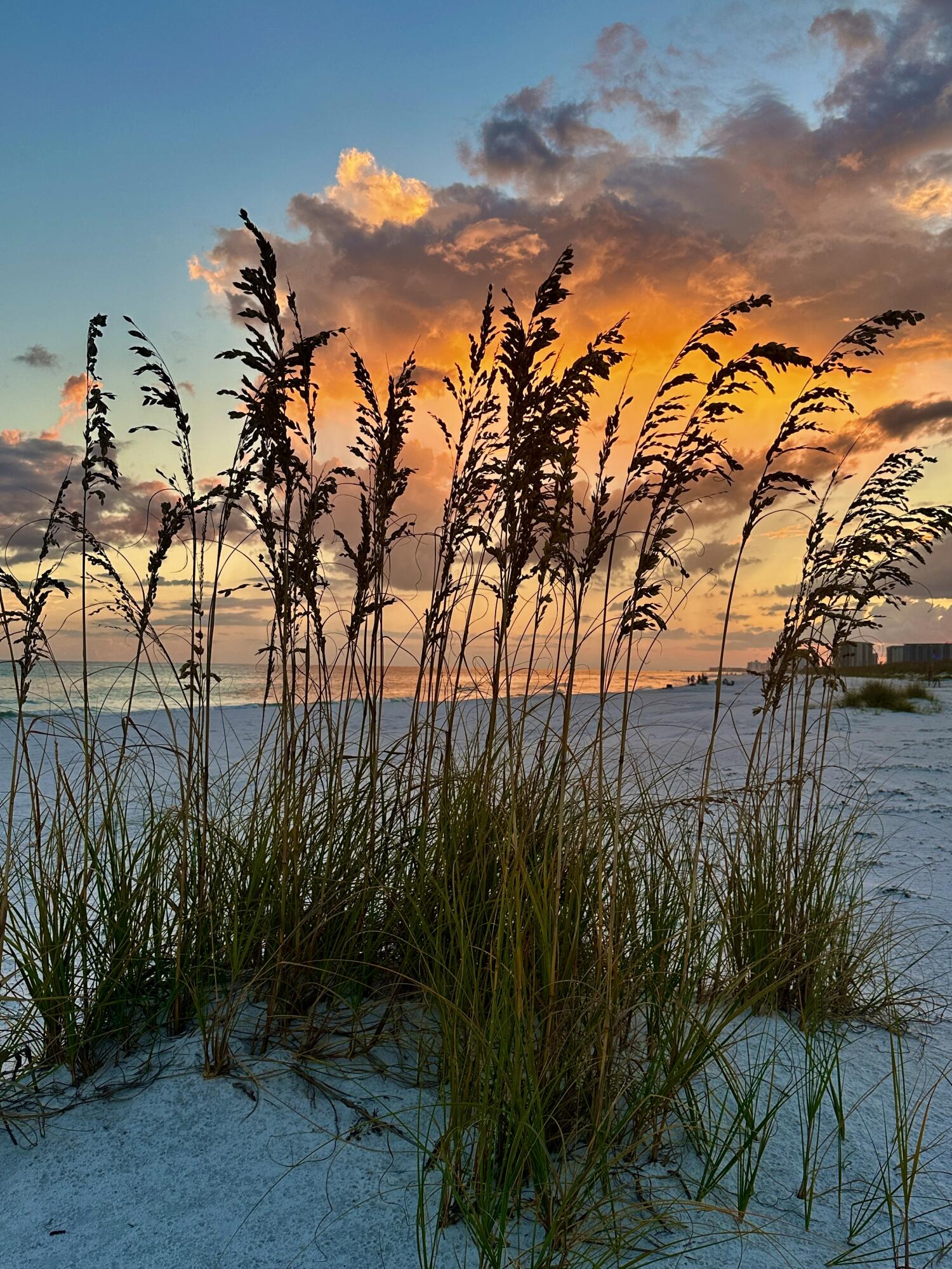 CRYSTAL SHORES - Residential