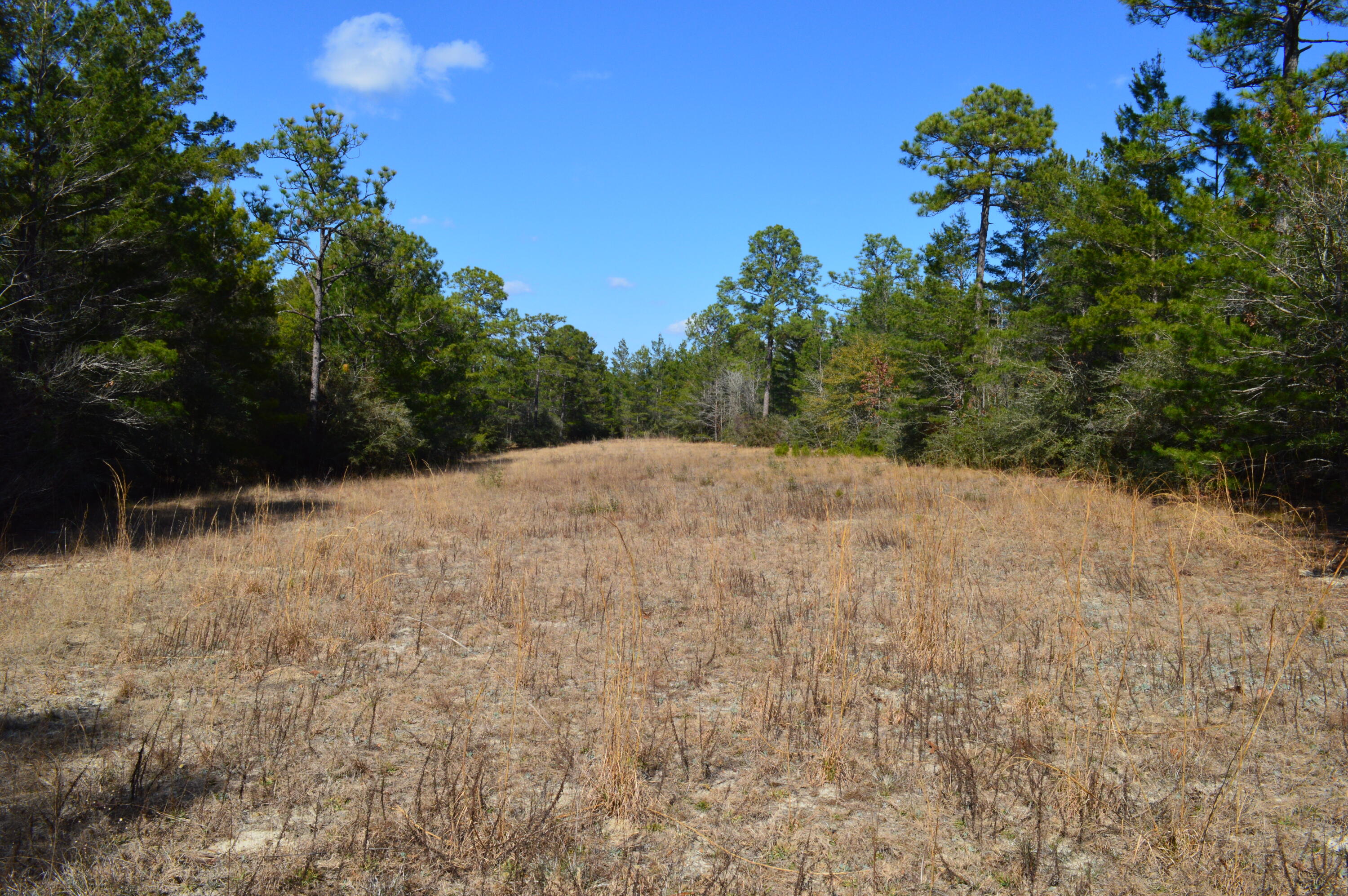 None - Residential