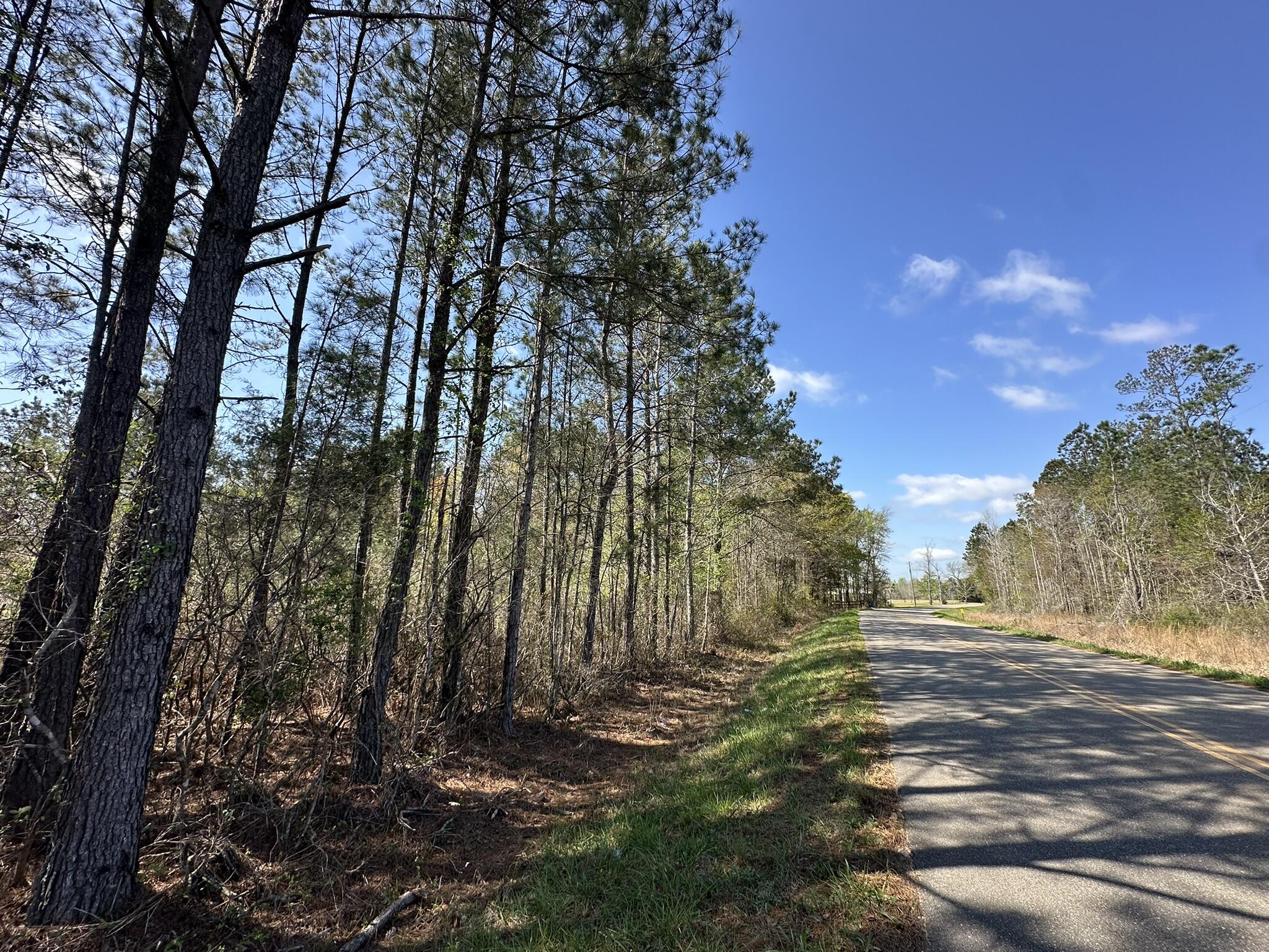 19.74+/- acres on Snider Avenue near Frisco City, Alabama offering a mix of open space and natural surroundings. This parcel provides room for recreation, agricultural use, or future plans with flexibility to suit a variety of needs. Bring your builder and your plans! Frisco City is known for its local history, timber and farming roots, and Monroe County setting that reflects a steady pace and established character. The area continues to see interest for its open landscapes and land opportunities. This property presents an opportunity to secure a larger tract in an active market. Buyer and buyer's agent to verify all important information.