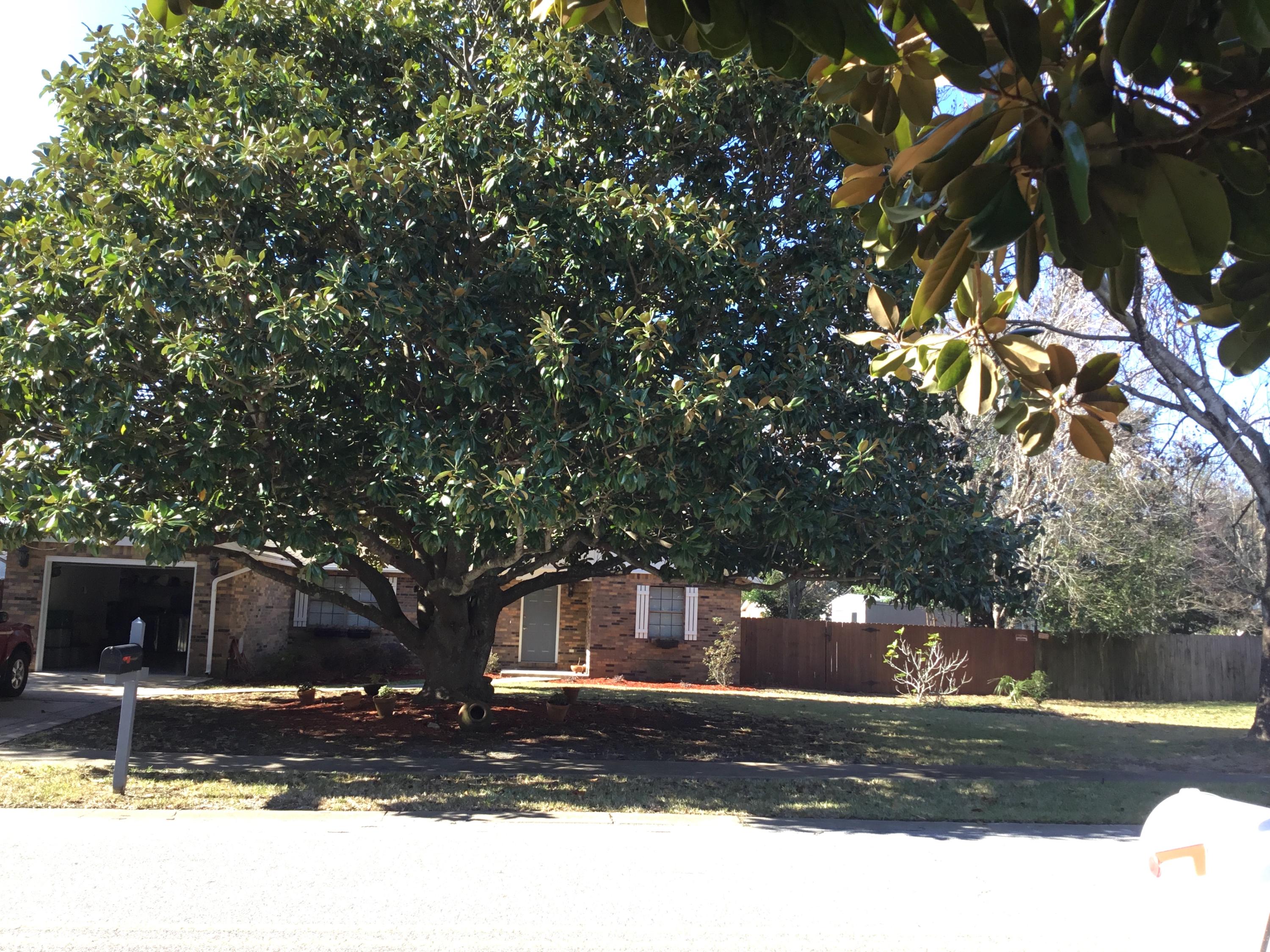 EASTWOOD 9TH ADDN - Residential