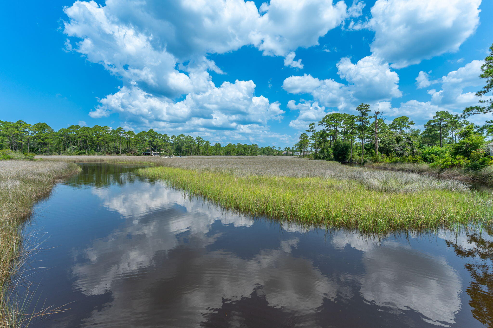 TREASURE ISLE ESTATES - Residential