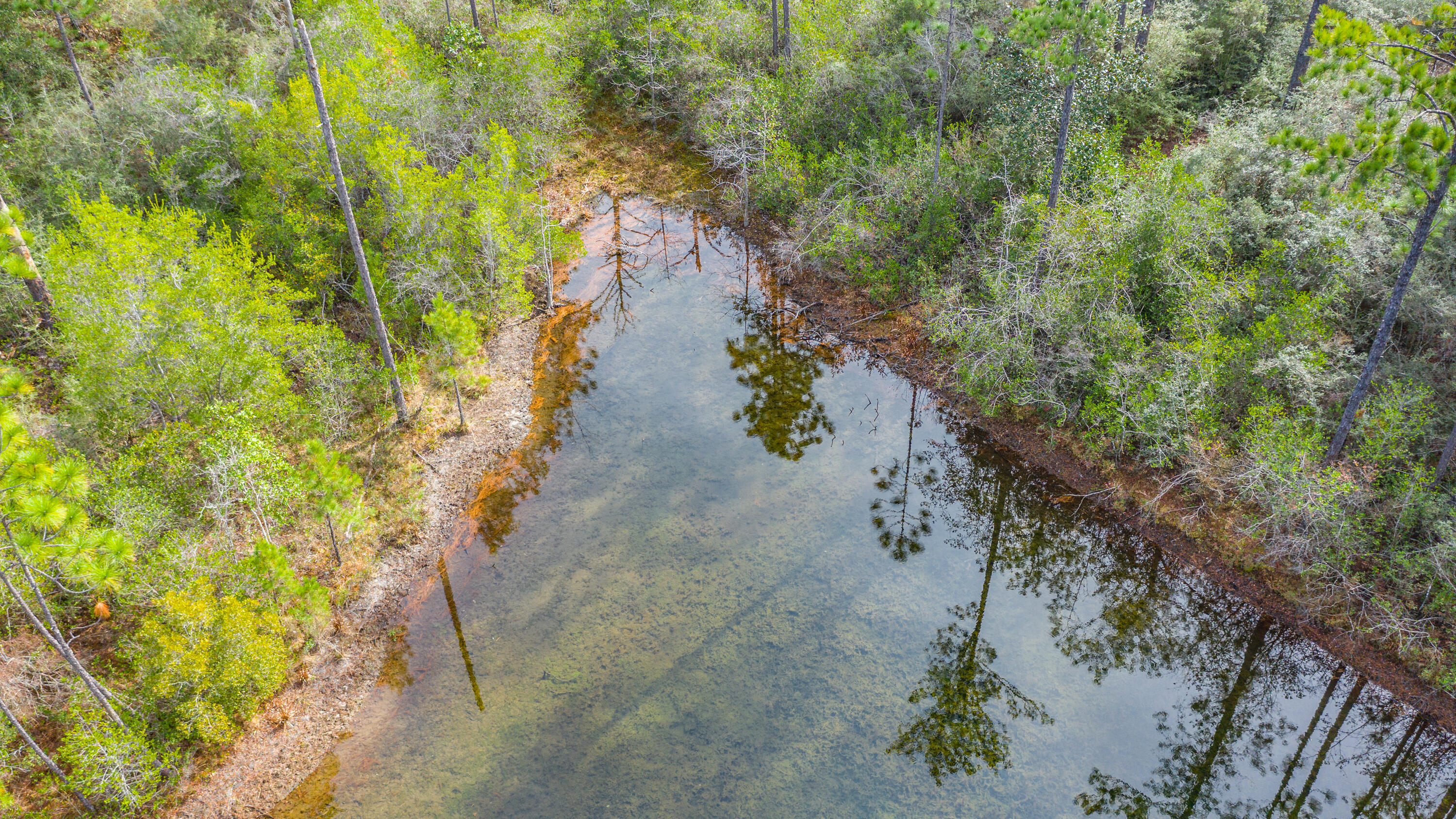Beautiful lush property, full of trees, perfect for developing. There is a pond located on the property. It is currently zoned agricultural but could be possibly rezoned.  The land is within 3 miles of the Zoo and other creative activities. There has been recent development nearby! This could be your opportunity! Schedule a walk of this beautiful property soon!