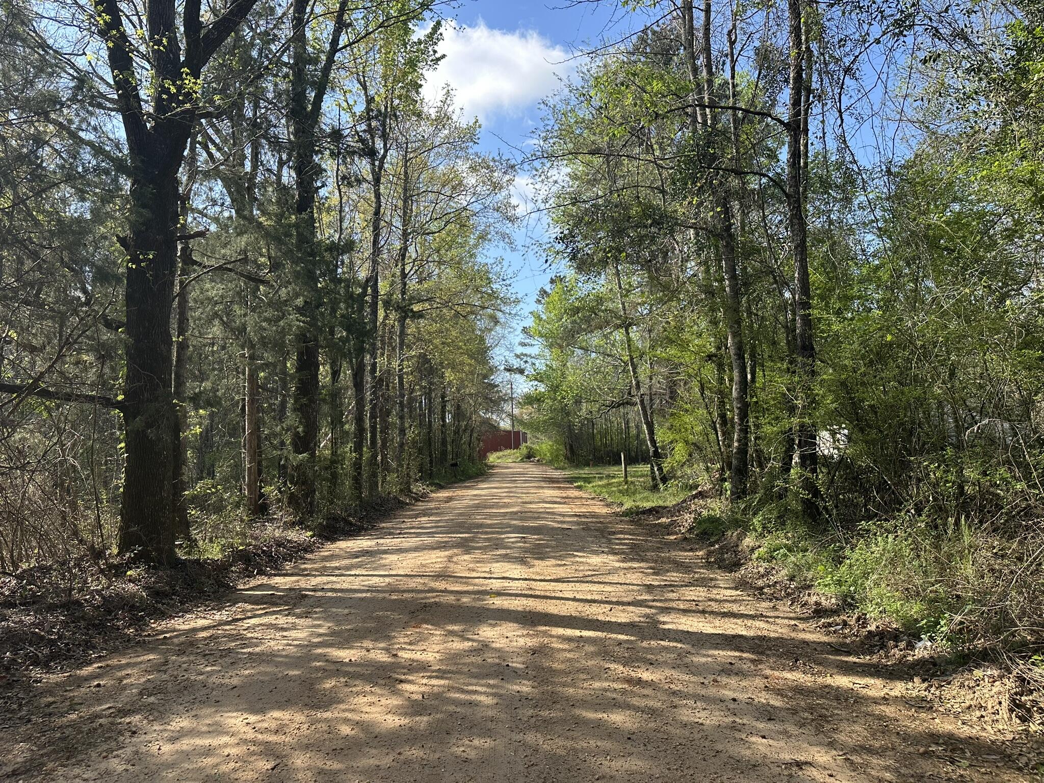 Discover 5.80+/- acres on Lett Road in Frisco City, Alabama, offering a versatile setting with natural surroundings and room to create your vision. This parcel features a mix of open space and native landscape, providing flexibility for a homesite, recreational use, or future plans. Power and water are available in the area, offering a starting point for utility access, while a septic system would be required. Located in Monroe County, Frisco City is known for its scenic countryside, relaxed pace, and strong sense of community, making it an appealing place to put down roots or invest in land. Buyer to verify all information deemed important to the purchase, including utility availability and septic requirements.