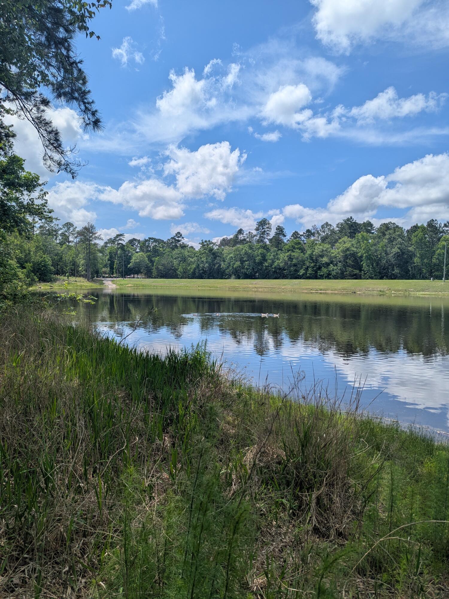Dogwood Lakes Estates - Land