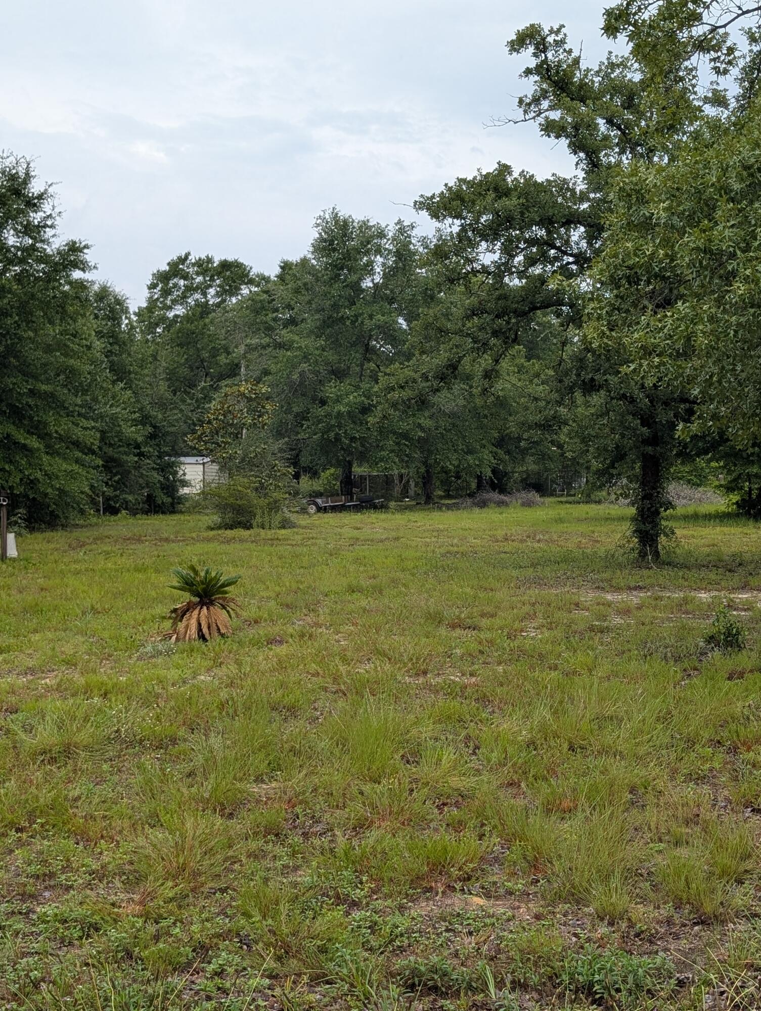 SHOAL RIVER FARMS UNREC - Land