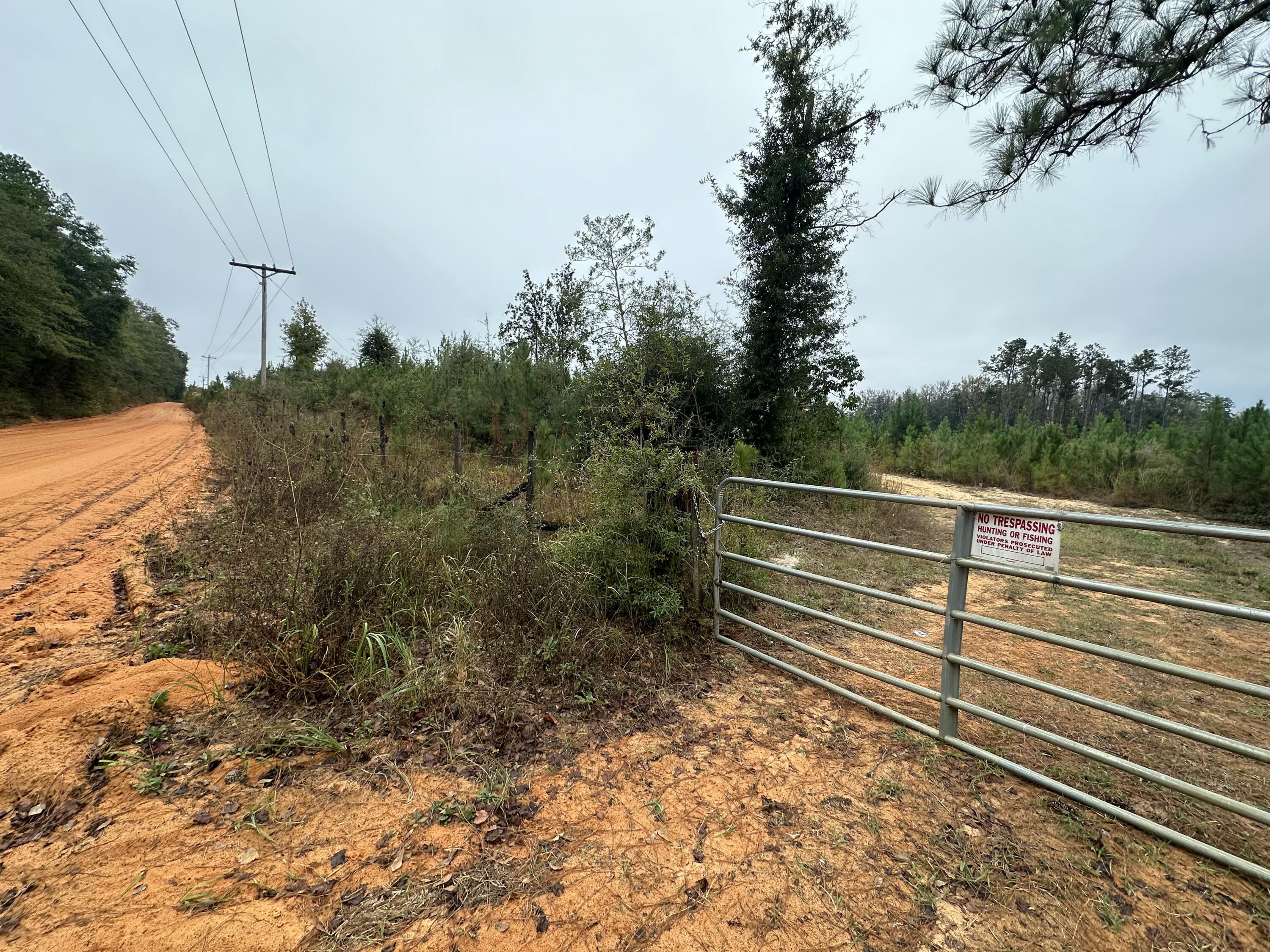 Escape to the quiet side of Okaloosa County with this expansive 67.23± acre tract in Laurel Hill. Positioned just off Hwy 85, this property offers a rare canvas of open fields, mature hardwoods, and established pines--perfect for those looking to build a private estate, hobby farm, or recreational sanctuary. Whether you are envisioning a custom barndominium, a horse pasture, or a secluded weekend getaway, the varied terrain and natural water movement provide the ideal foundation for your vision. Wildlife enthusiasts will appreciate the frequent deer activity and the serene atmosphere where the night sky remains brilliantly clear. With Millside Road included in upcoming county paving plans, this is a prime opportunity to secure acreage that balances rural privacy with long-term accessibility. Bring your builder and your blueprints; your Northwest Florida retreat awaits.