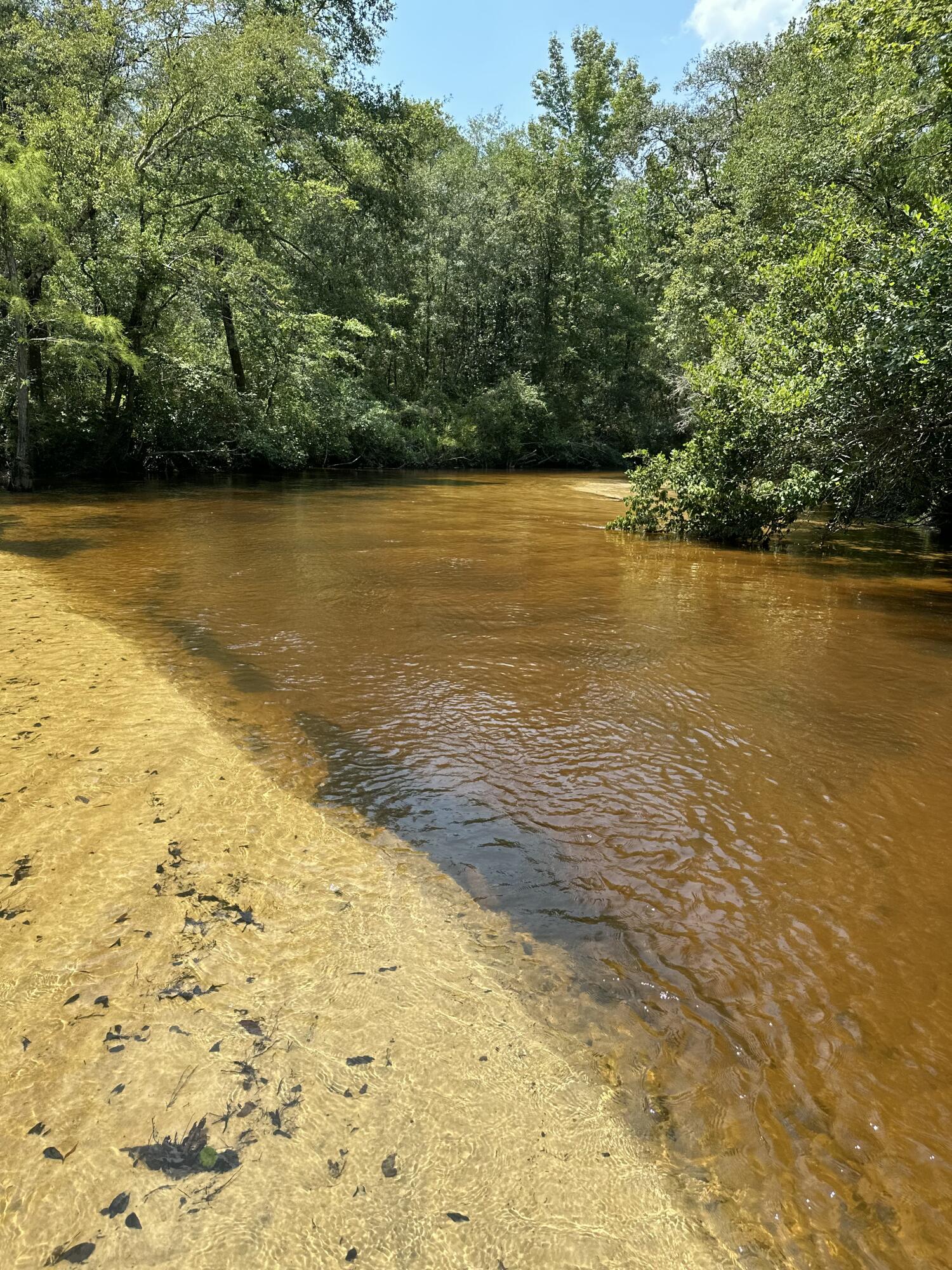 Two River front Lots equaling approximately 10 acres. Power available at the road. Public water available, just need to pay tap fee. Two ways to purchase, both lots listed at 250K but seller will sell individually for 135K apiece.  Property zoned General Ag. Homesites have been cleared at the front of each lot.