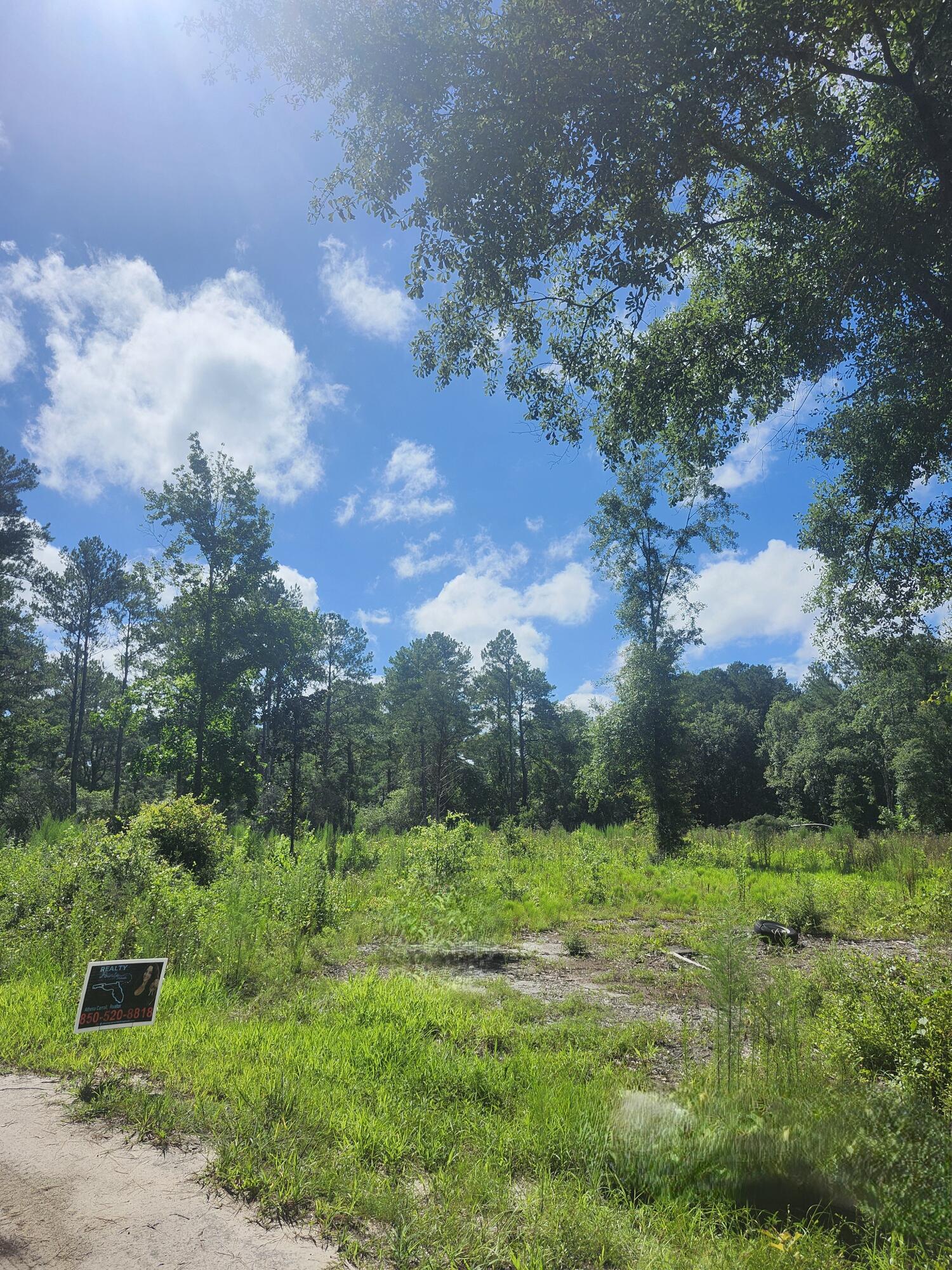 SHOAL RIVER PLANTATION UNREC S/D - Land