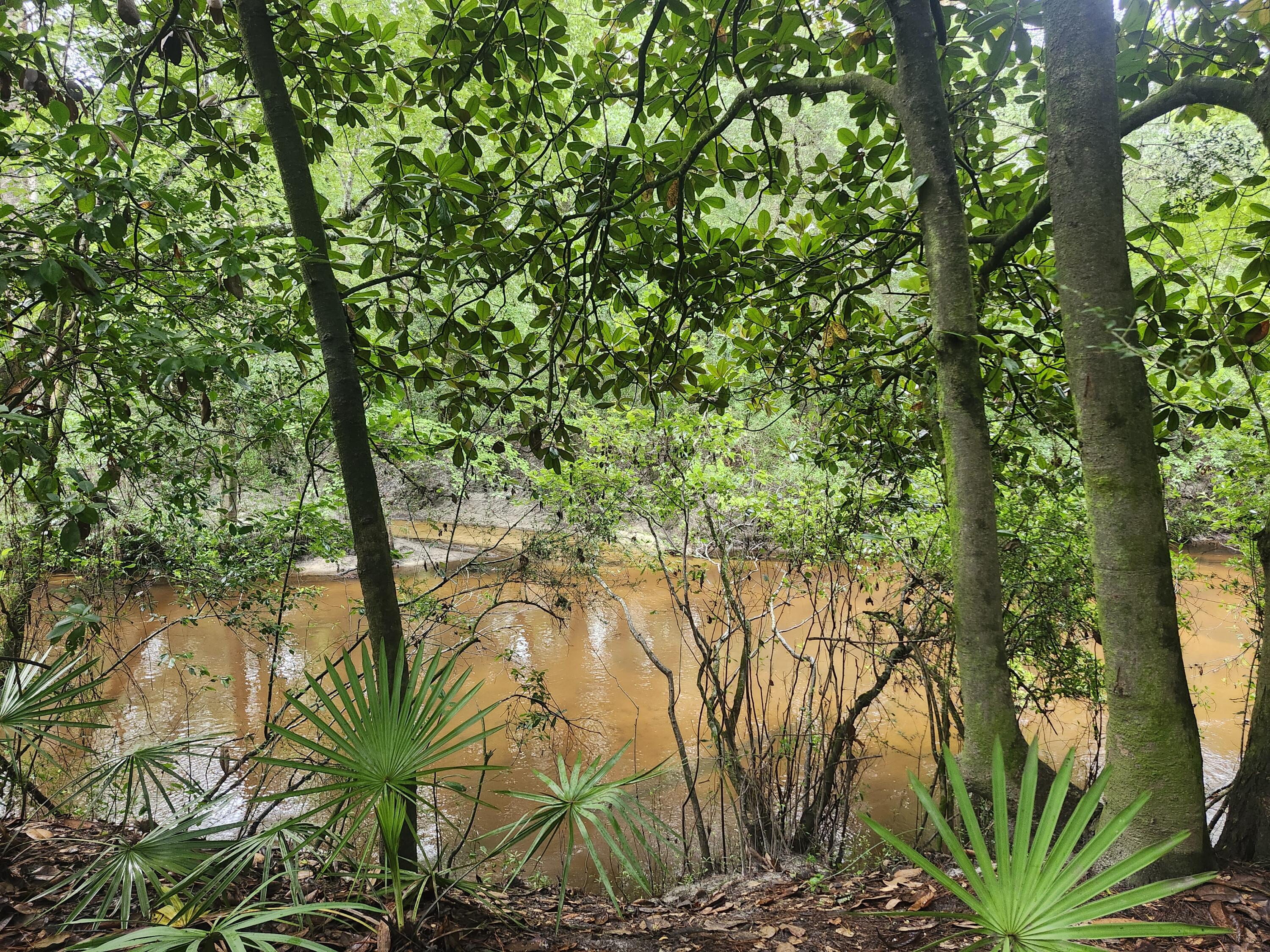 SHOAL RIVER PLANTATION UNREC S/D - Land