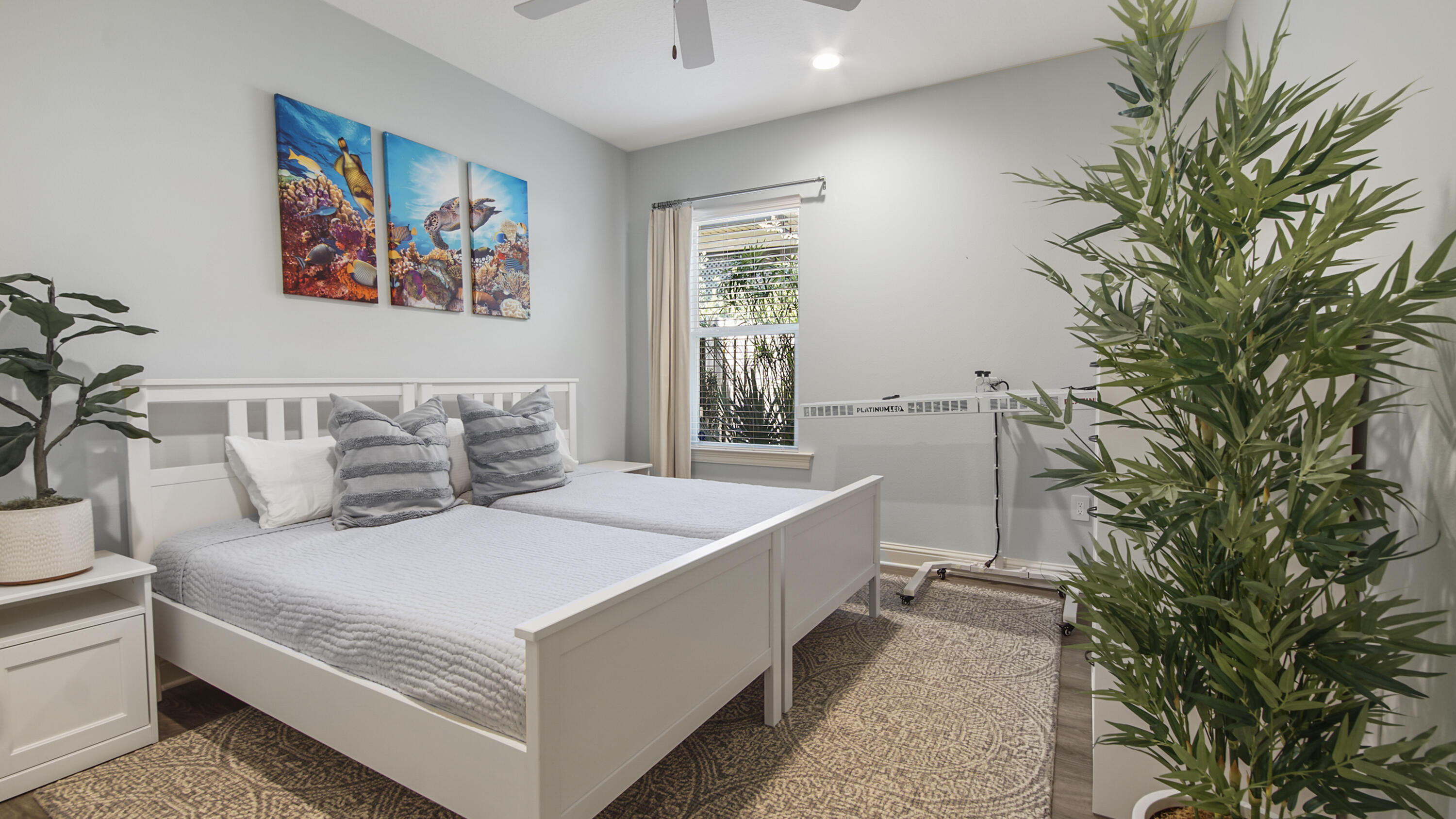 Hammock Bay- Meadows - Residential