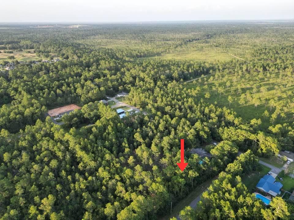 Build your dream home on this .321-acre corner lot located in an established area with public water and sewer available. The property is zoned R-1, allowing for site-built homes only (no manufactured homes permitted). According to the county, the parcel may be divided back into its original platted 50' x 140' lots, provided they do not face Santa Monica. Any lots facing Santa Monica must comply with current zoning requirements, including 70 feet of road frontage and a minimum lot size of ¼ acre (.25 acres), which this parcel cannot accommodate.

A Wetland Study will be required prior to development. The property is located in Flood Zone X, meaning it is not in a designated flood hazard area.  An access agreement with the Public Works/Road & Bridge Department will be required, and the future owner will be responsible for clearing the access. Water and sewer service are available; however, there are no sewer laterals, as the system is served by a force main.  This is an excellent opportunity for a custom home in a convenient location with utilities already available. Buyers are encouraged to verify all zoning, subdivision, and development requirements with the appropriate county departments during their due diligence.