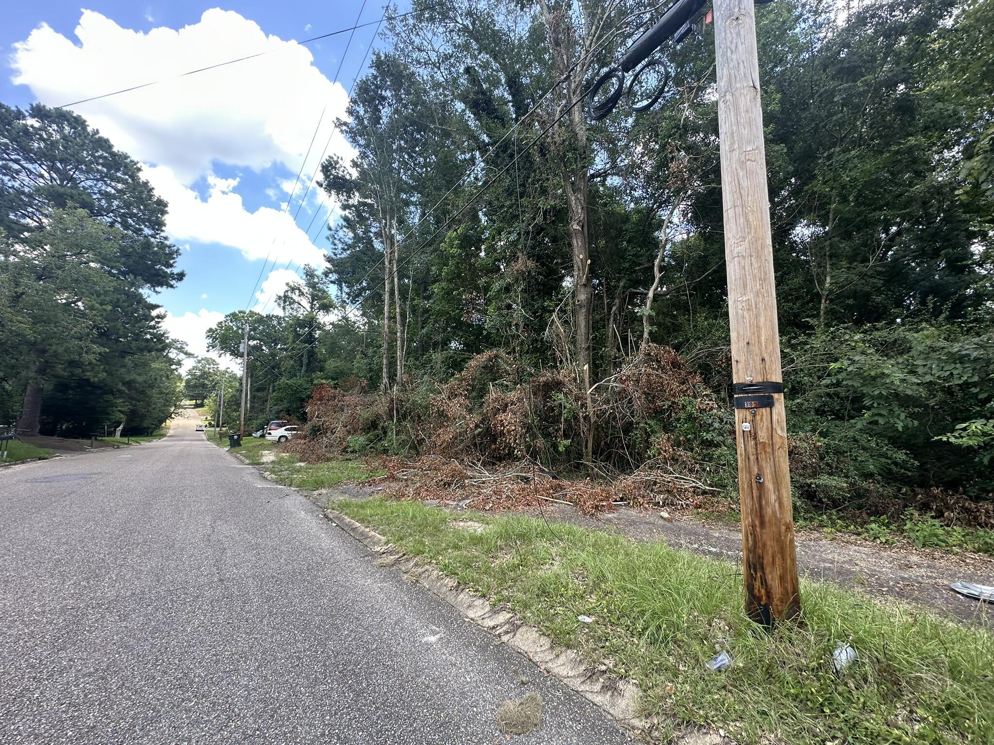 Fairview ADD - Alabama - Land
