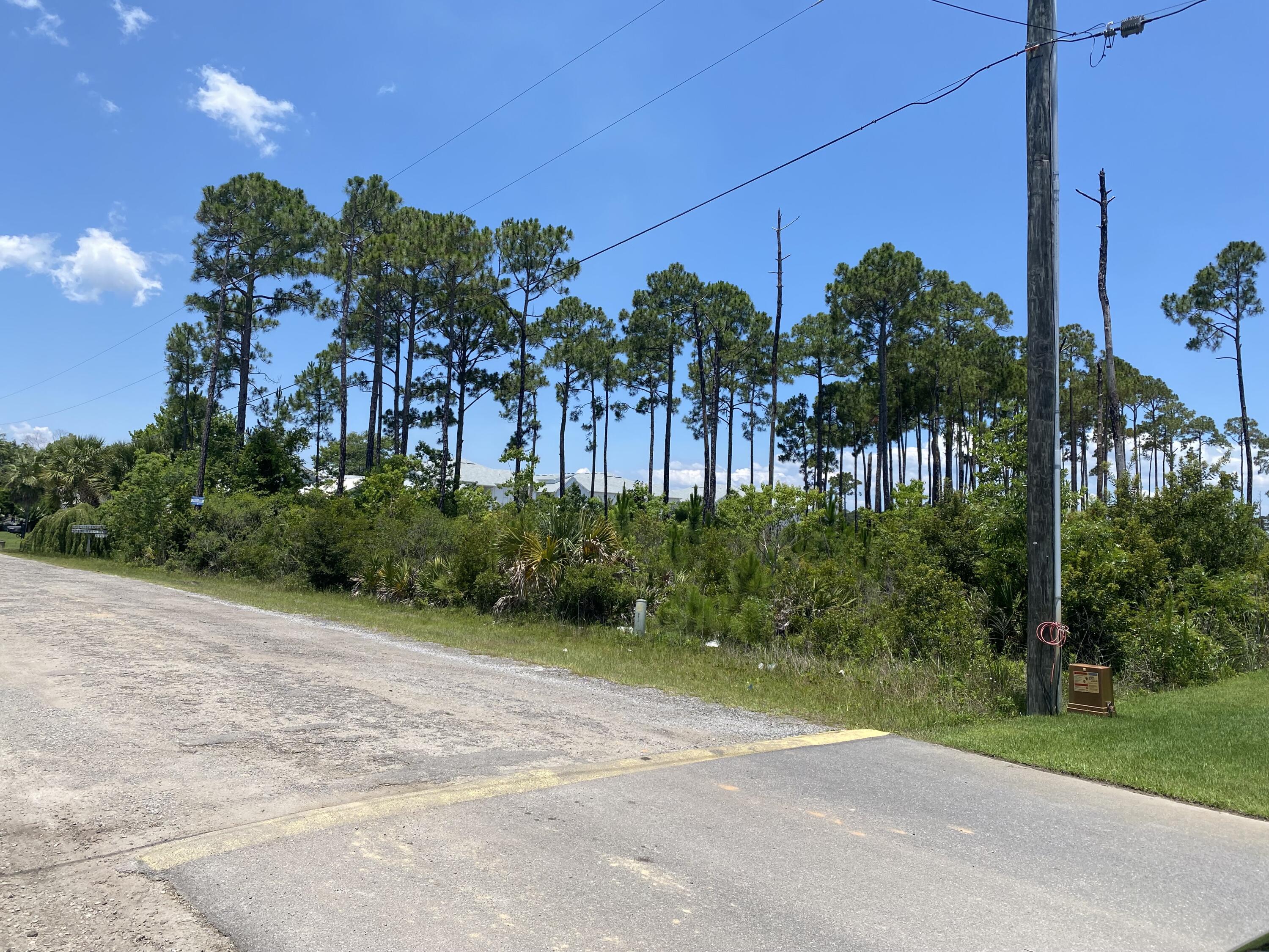 THOMPSON PLANTATION - Land