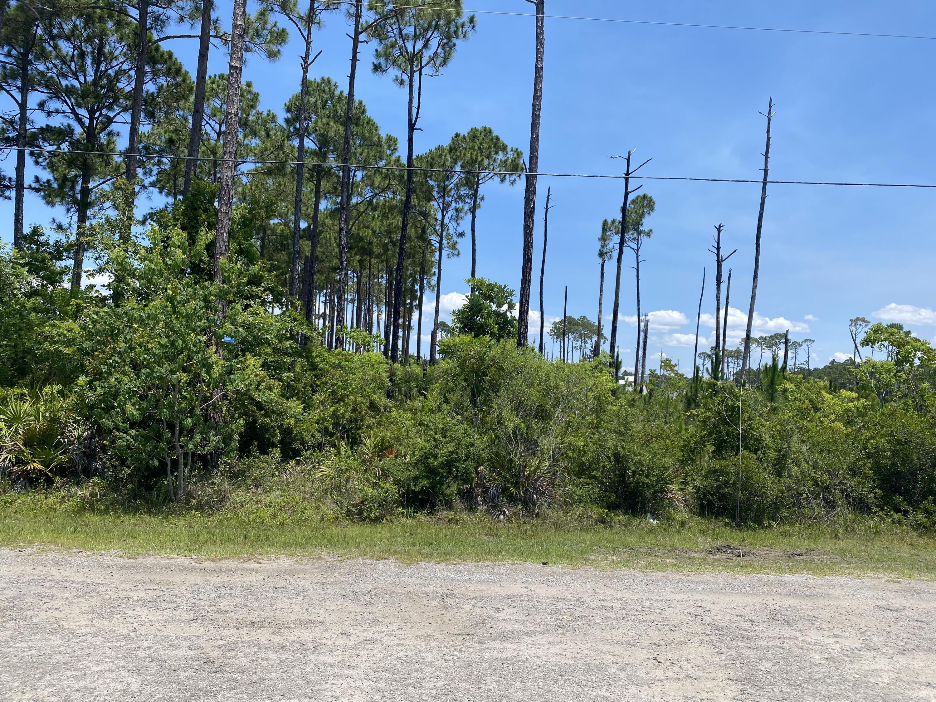 THOMPSON PLANTATION - Land