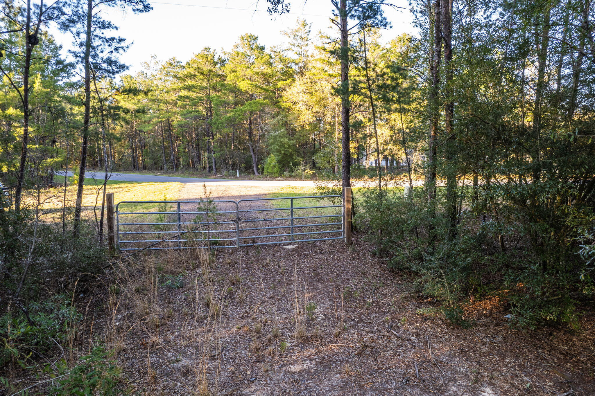 Elmwood Plantation - Land