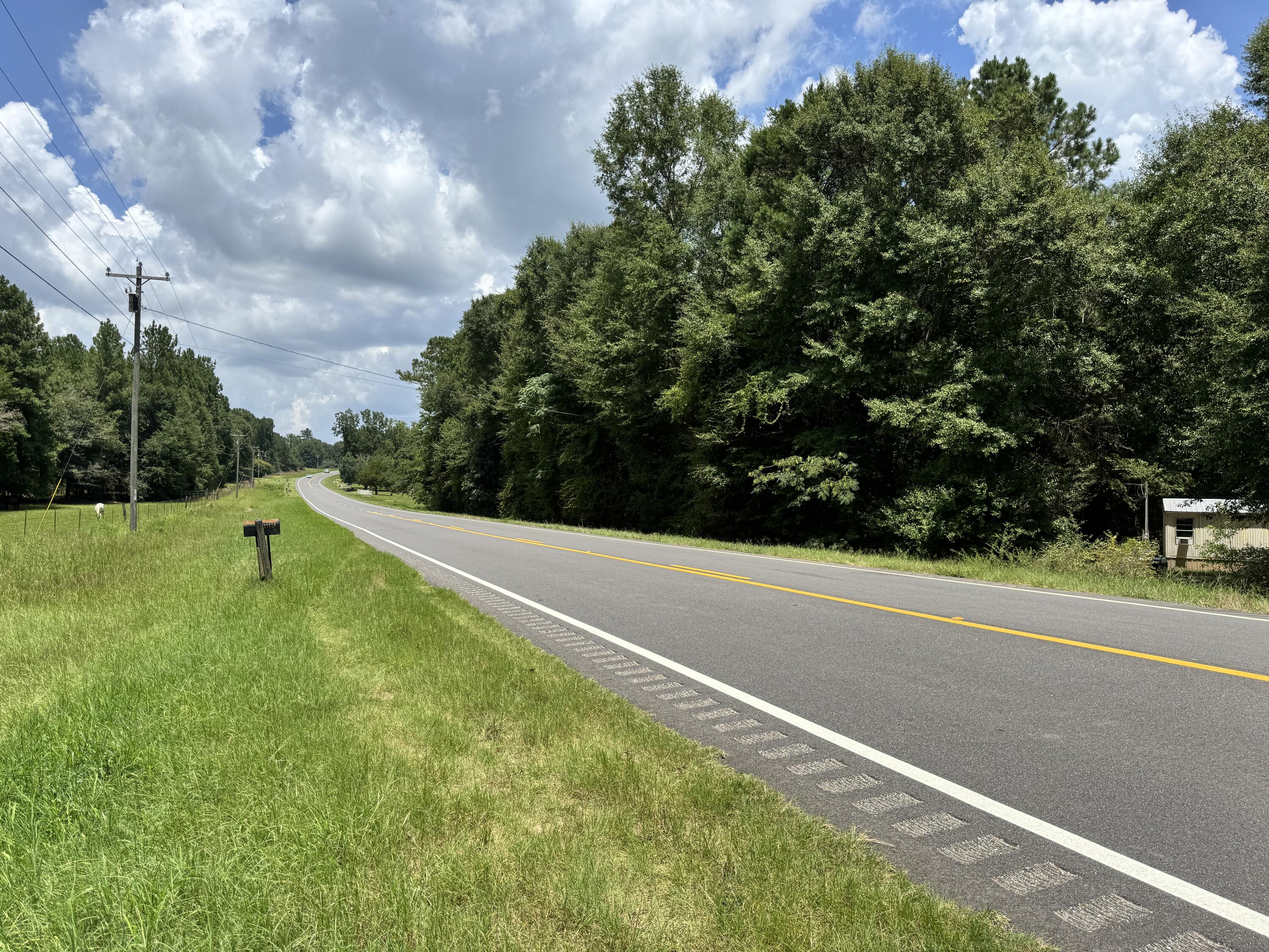 Excellent opportunity on Highway 87 in Jack, Alabama, located within the highly desirable Zion Chapel School District. This property is already equipped with four septic tanks, four water meters, and electricity, making it ideal for a variety of residential or investment possibilities. The mobile homes currently located on the property will be removed by the owners prior to closing. Conveniently located with existing utilities in place, this property offers a great foundation for future development or a custom homesite.