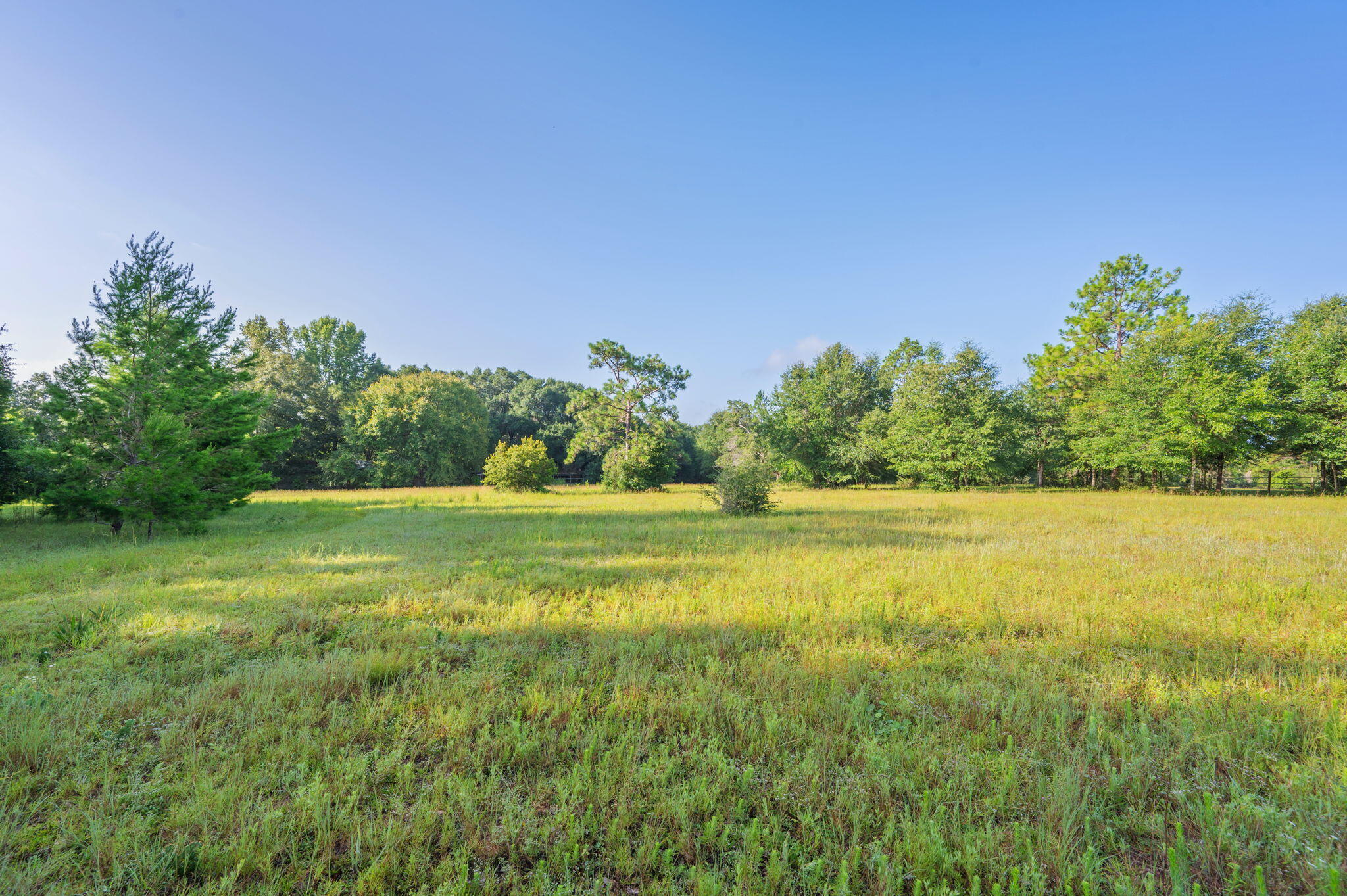 Poverty Creek & Docas - Residential