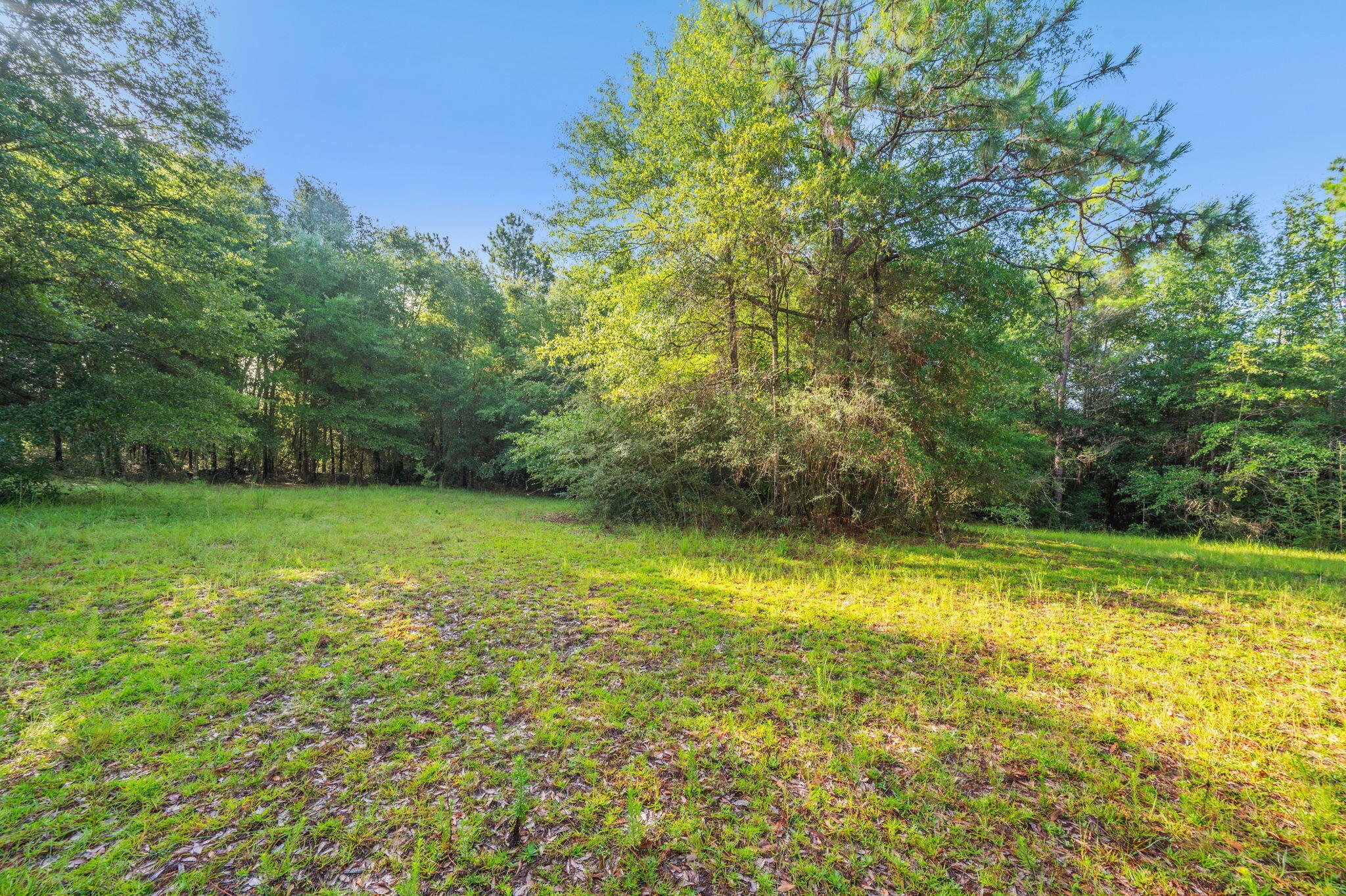 Poverty Creek & Docas - Residential