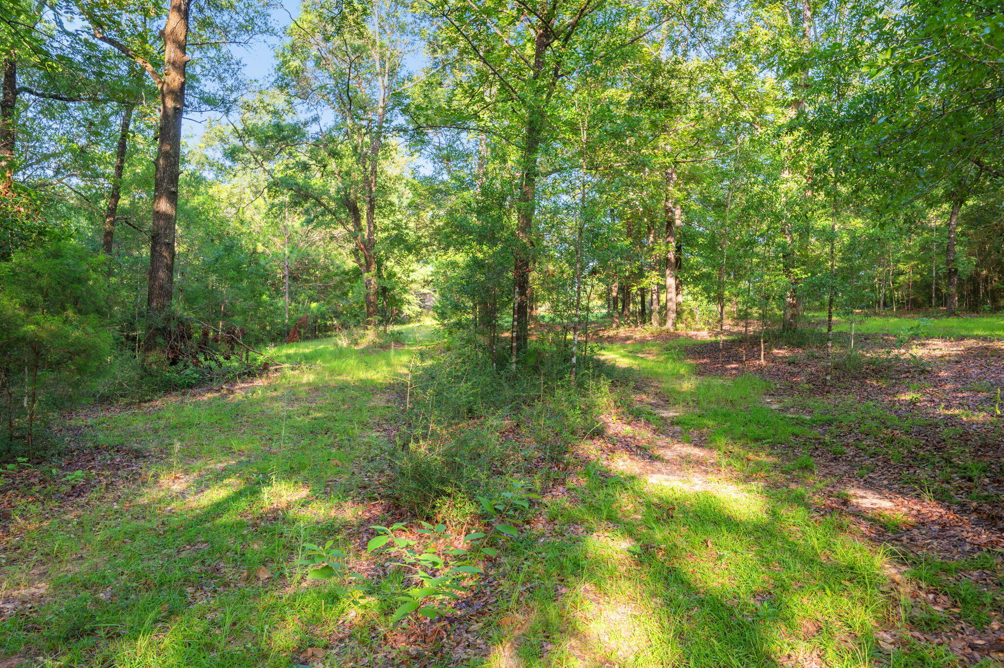 Poverty Creek & Docas - Residential