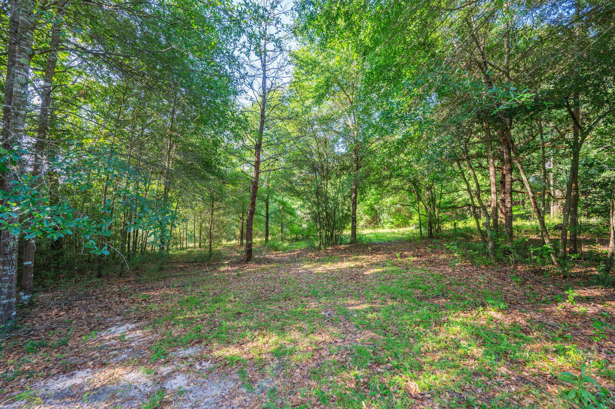 Poverty Creek & Docas - Residential