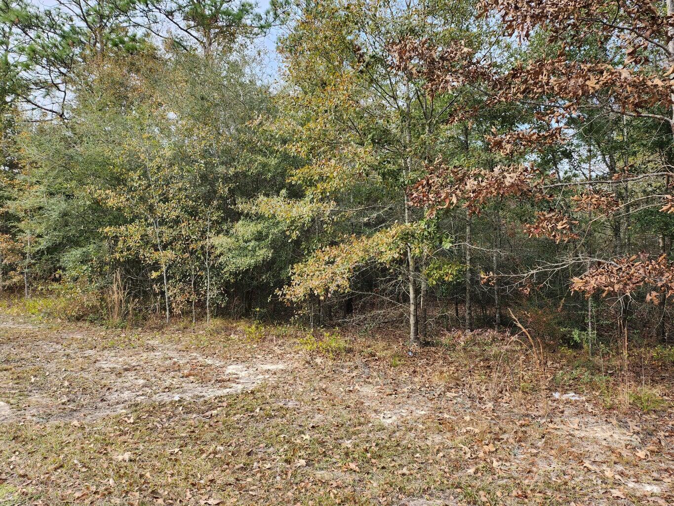 Ten Lakes Estate Unit One - Land