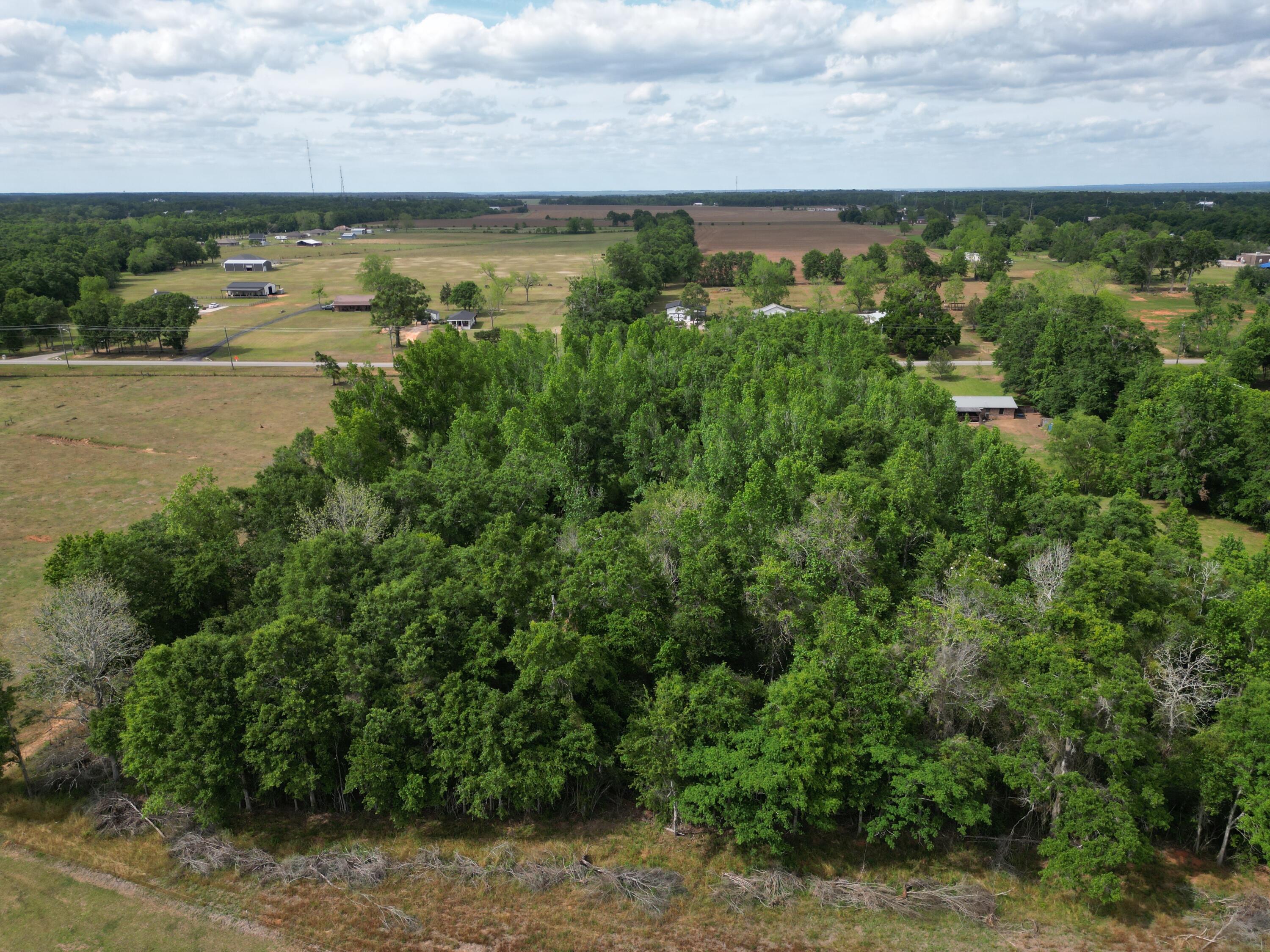 Build two homes and maximize returns, or keep the full acreage for a private estate with room to breathe. This is an opportunity to acquire 2.48 acres of vacant land in Molino, Florida, zoned RMU and primed for development. Whether you're a builder, investor, or end-user, this parcel delivers exceptional flexibility and value.
The seller has done the heavy lifting: a complete document package conveys with the sale, including a wetland study, soil and septic analysis confirming favorable conditions for a subsurface septic system, a survey of the full 4.8992-acre parcel, and a proposed 2-lot split survey. The groundwork is laid; you're stepping in at the finish line.
Currently configured at 330 x 665 feet, the property is positioned to divide into two buildable 165 x 655-foot lots -- each offering generous dimensions ideal for custom home construction.
 Septic needed . Seller has wetland study, soil septic analysis which shows soil is favorable for subsurface septic system, a survey for the entire 4.8992 acres and a survey for a proposed 2 lot split. THIS IS PARCEL B . see survey